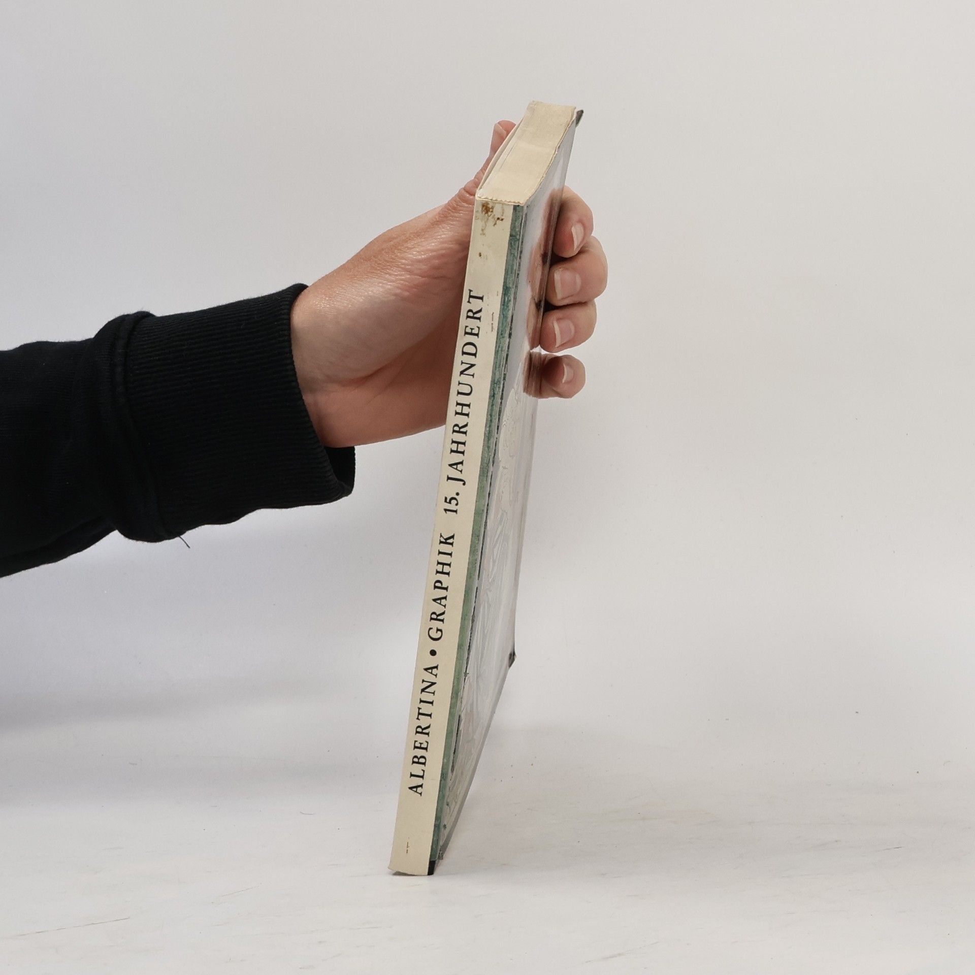 Autorenkollektiv Die Kunst der Graphik das 15. Jahrhundert