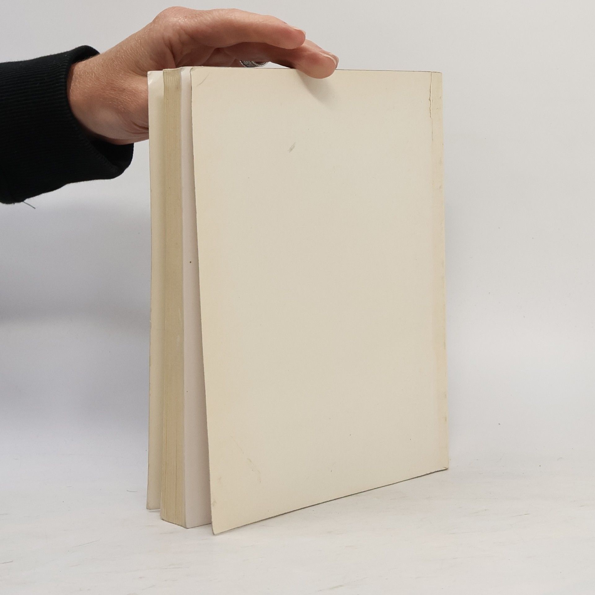 Autorenkollektiv Die Kunst der Graphik das 15. Jahrhundert