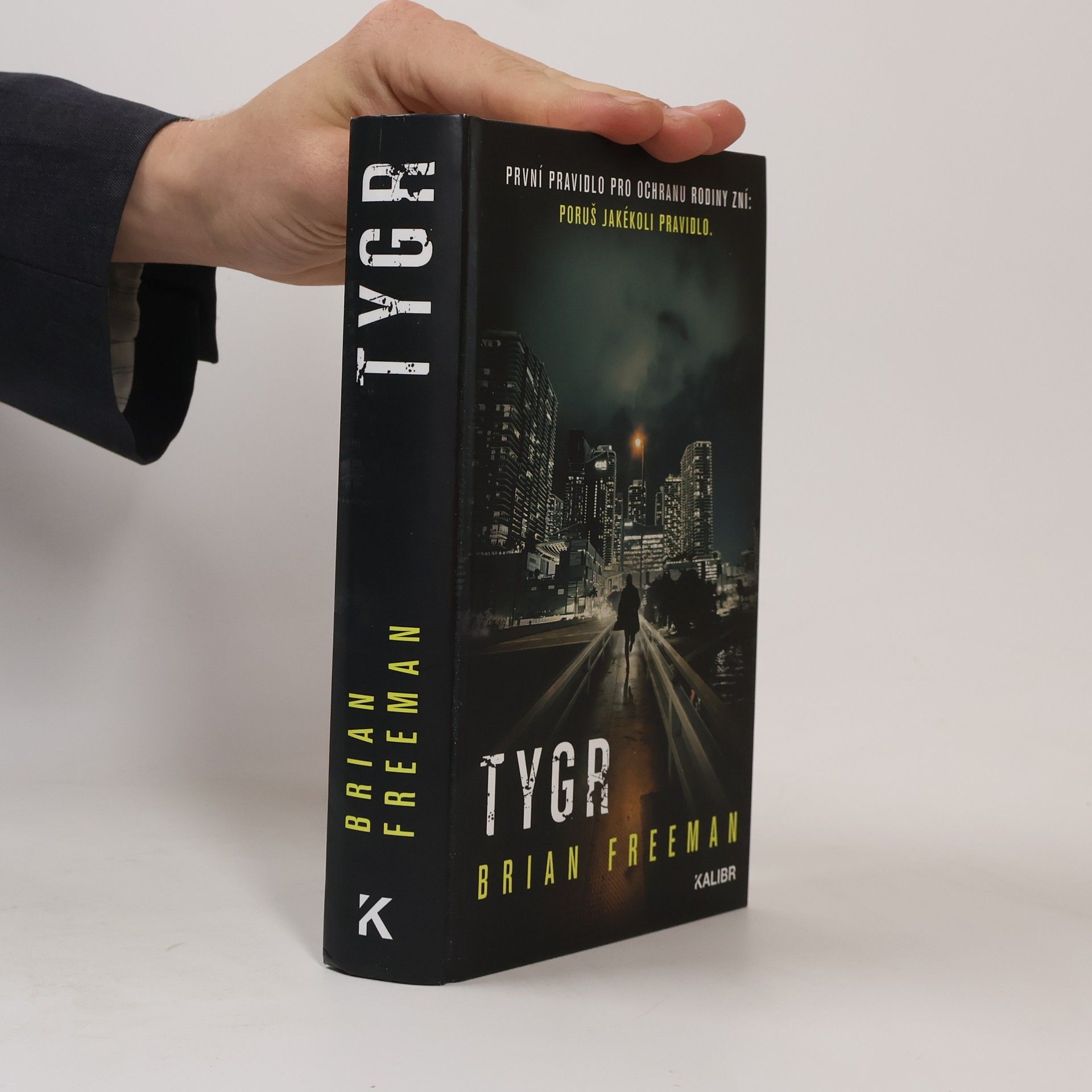 Tygr