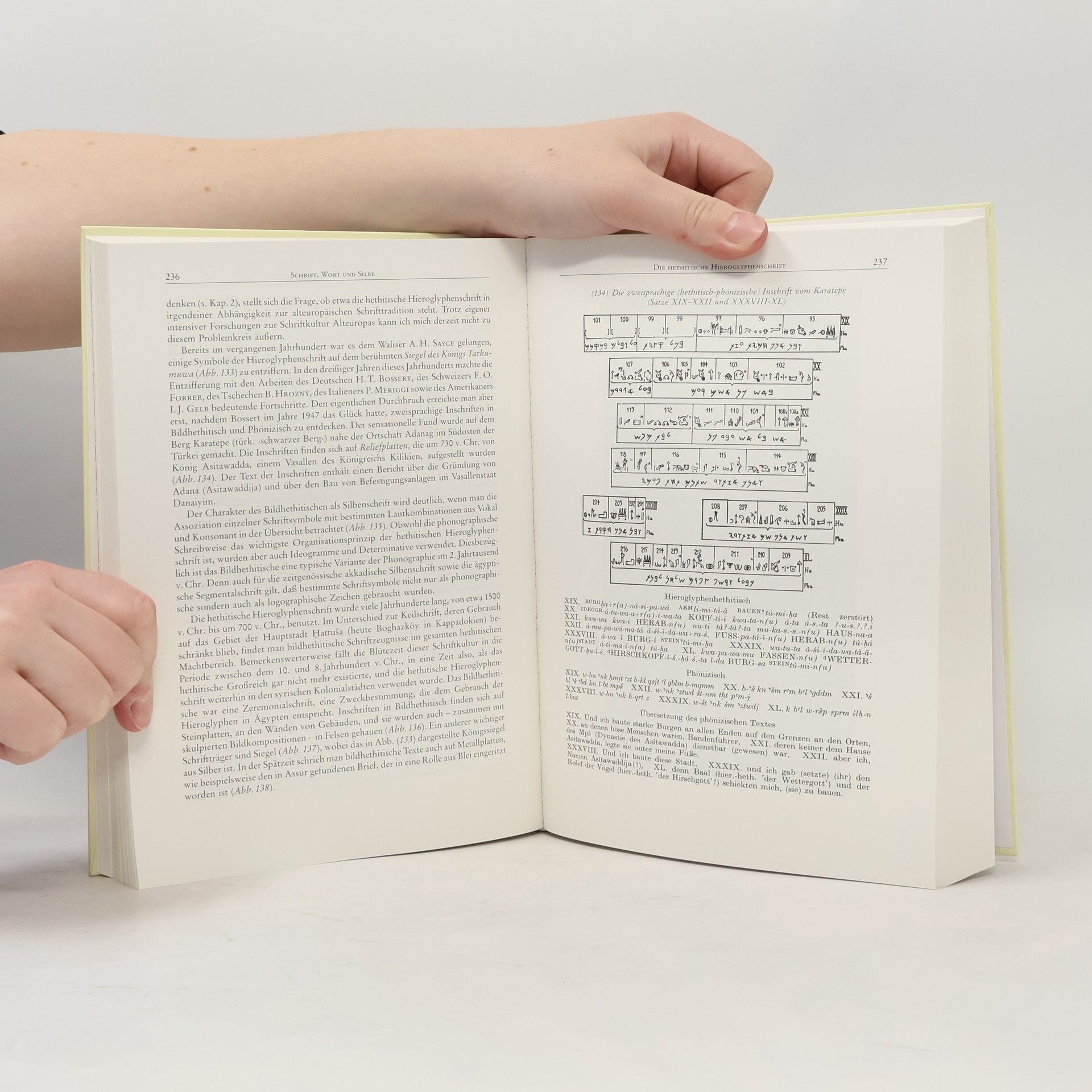 Harald Haarmann Universalgeschichte der Schrift
