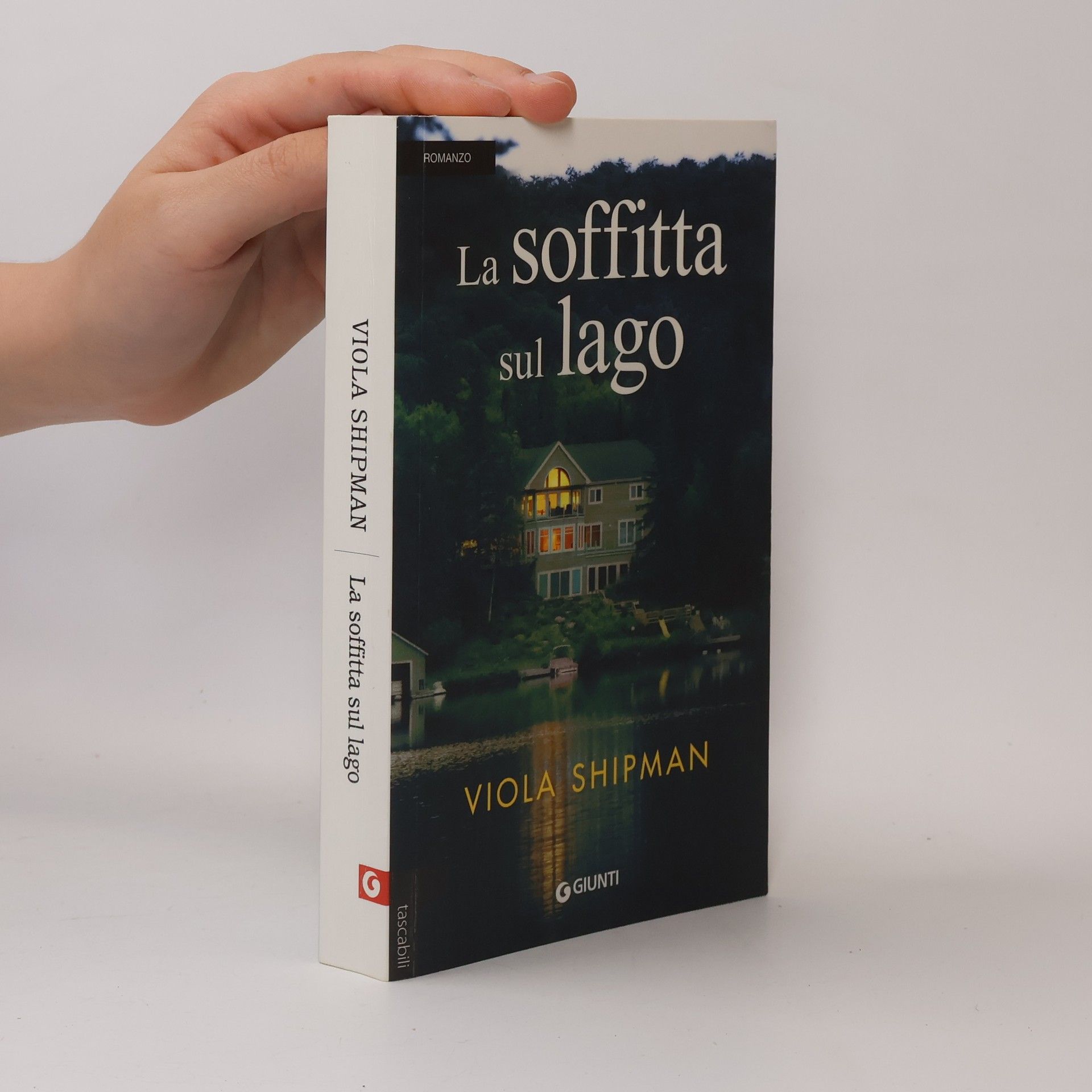 Viola Shipman La soffitta sul lago