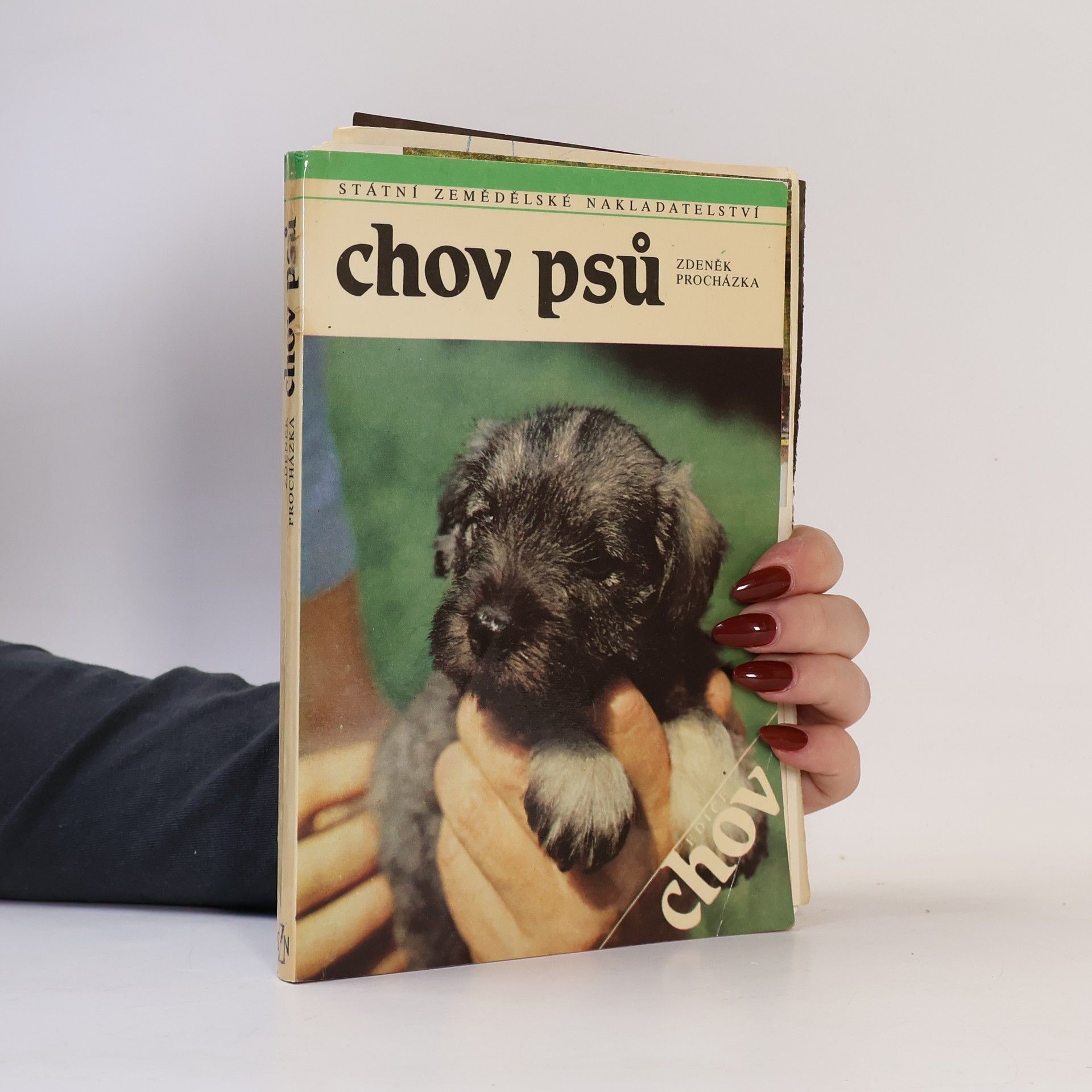 Zdeněk Procházka Chov psů