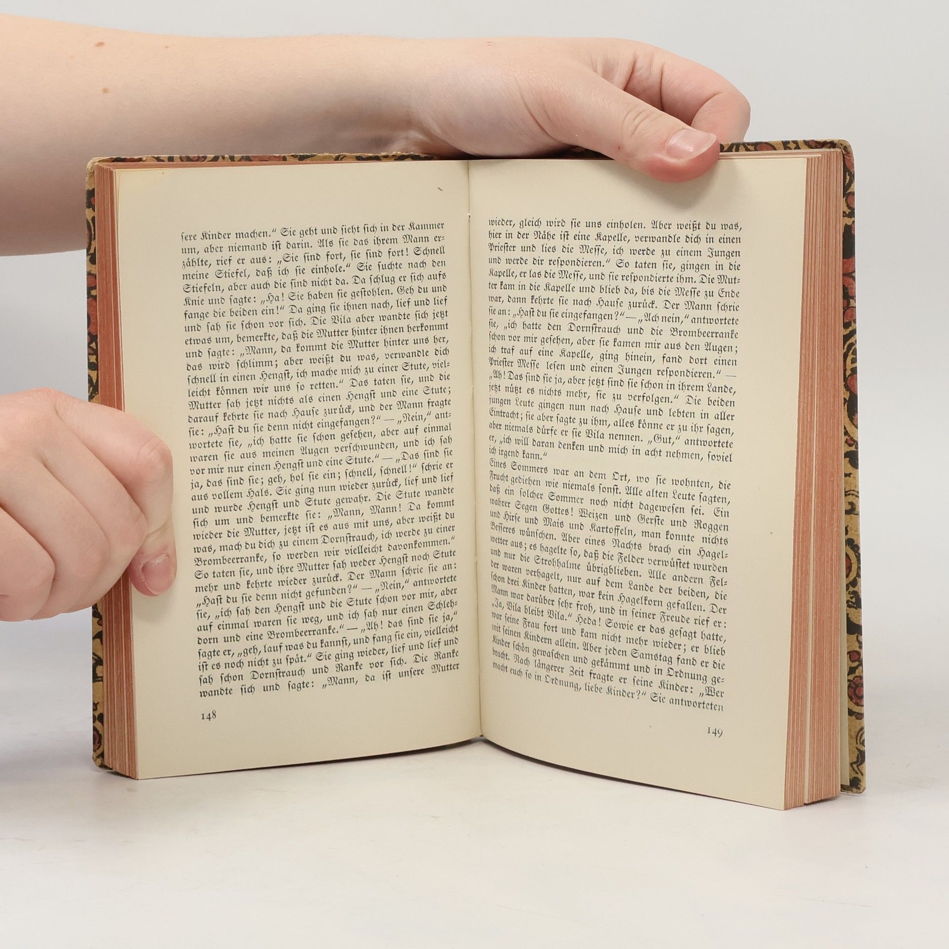Kolektiv autorů Die Märchen der Weltliteratur