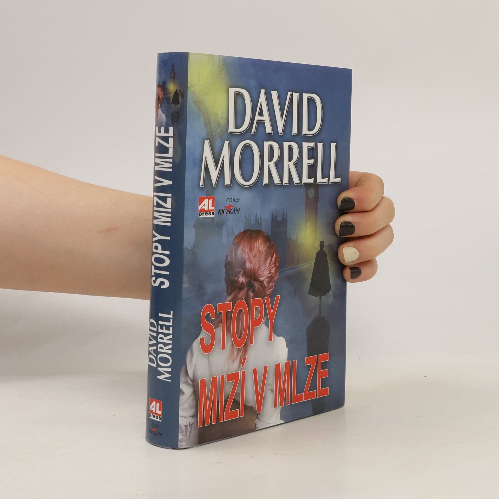 David Morrell Stopy mizí v mlze