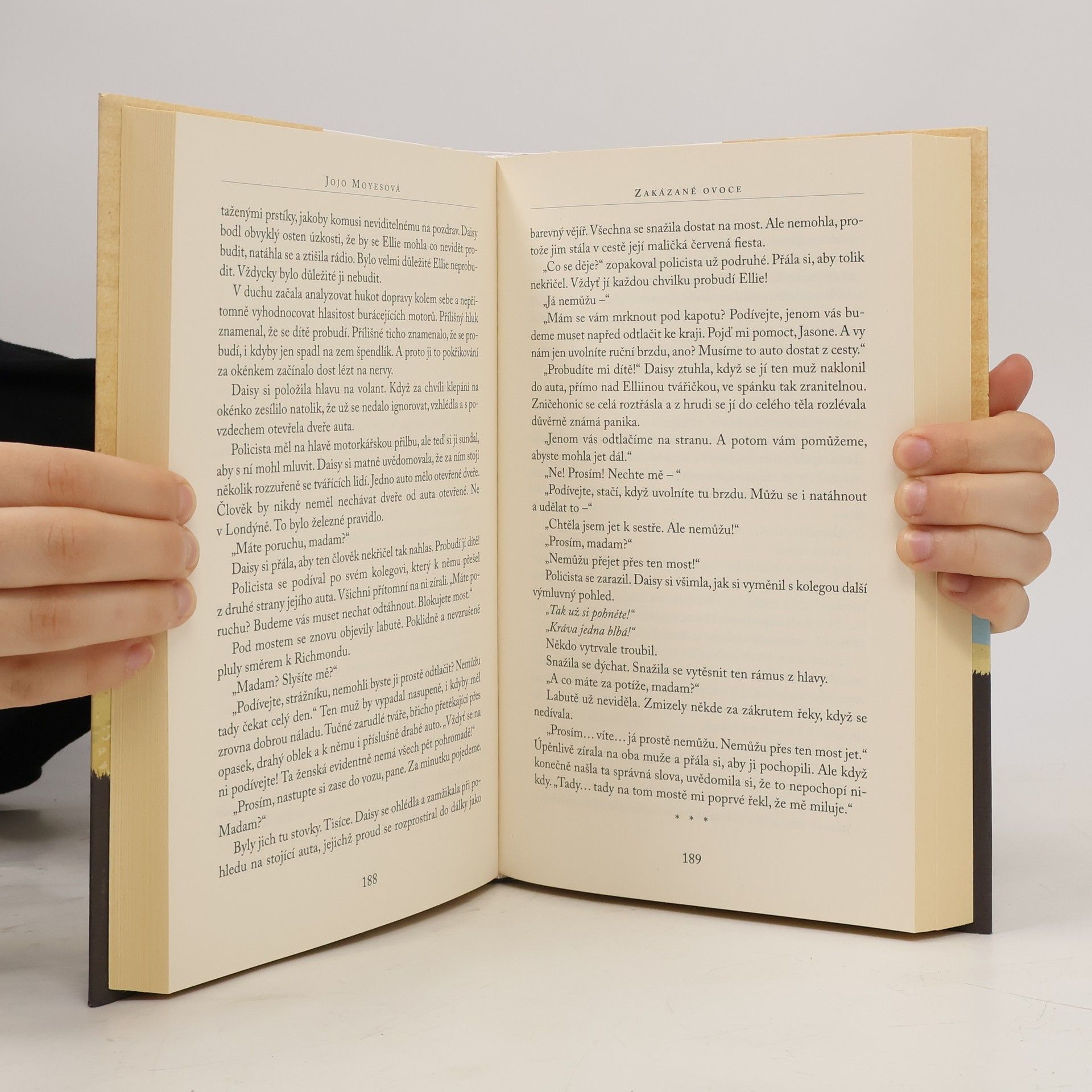 Jojo Moyes Zakázané ovoce
