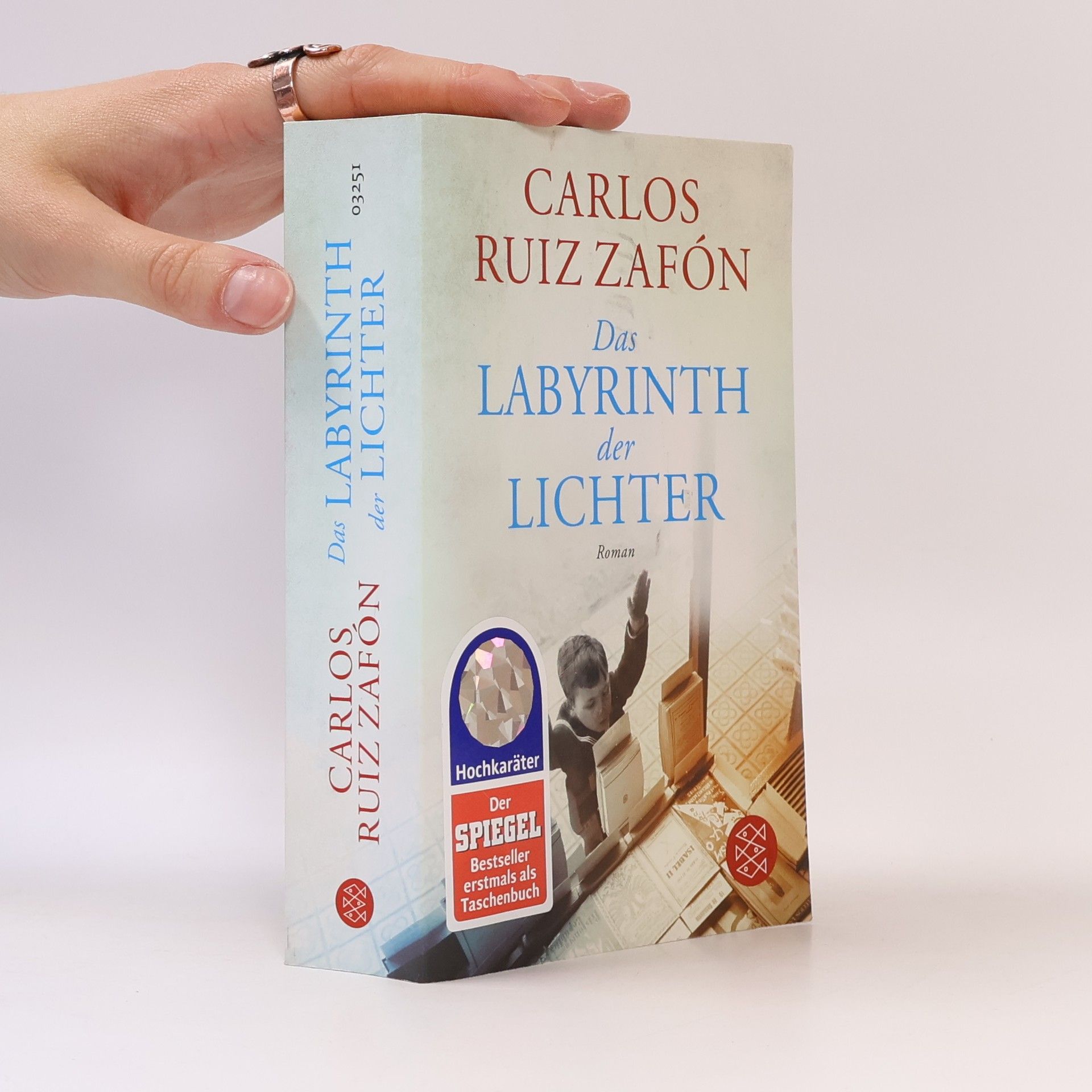 Carlos Ruiz Zafón Das Labyrinth der Lichter