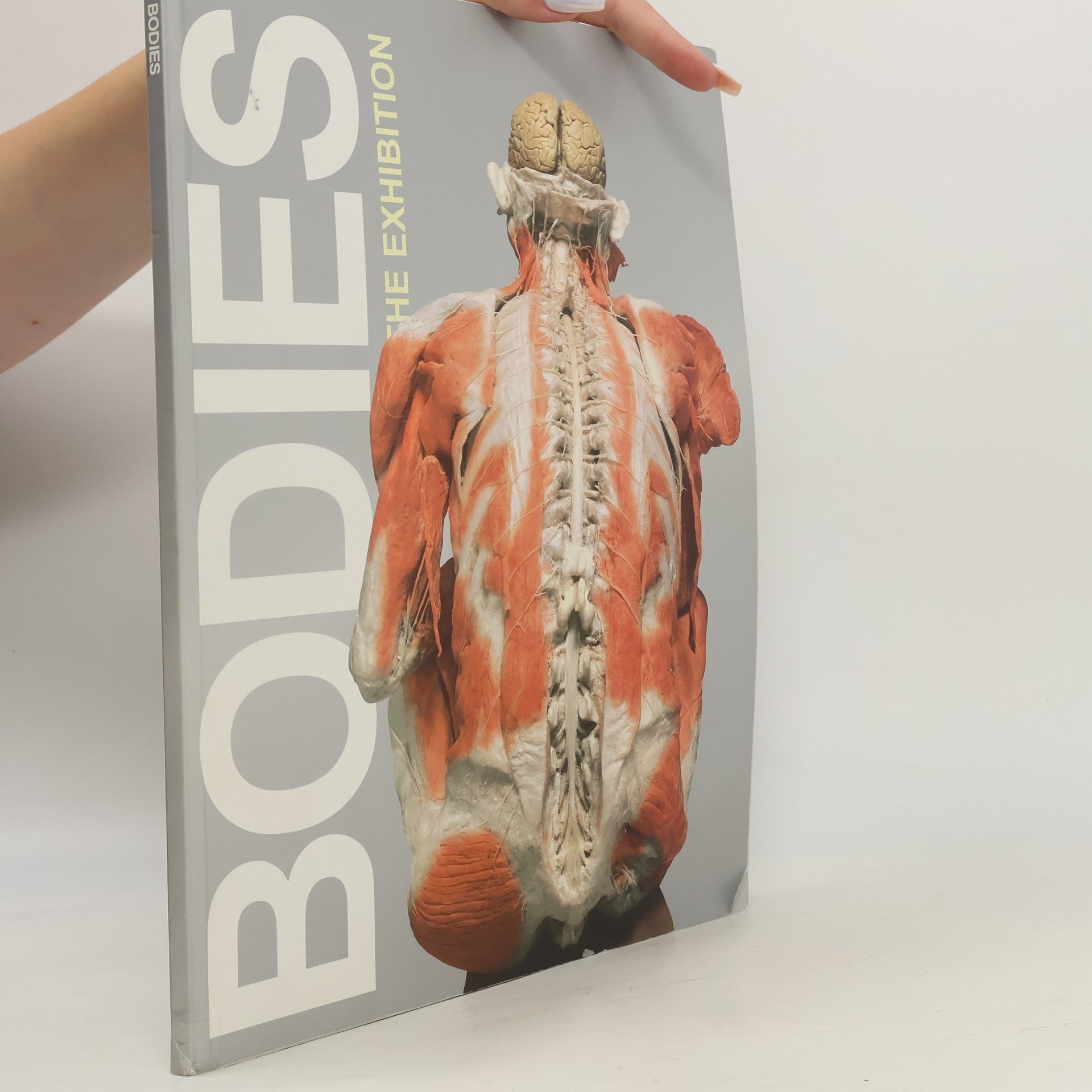 Kolektiv autorů Bodies. The Exhibition