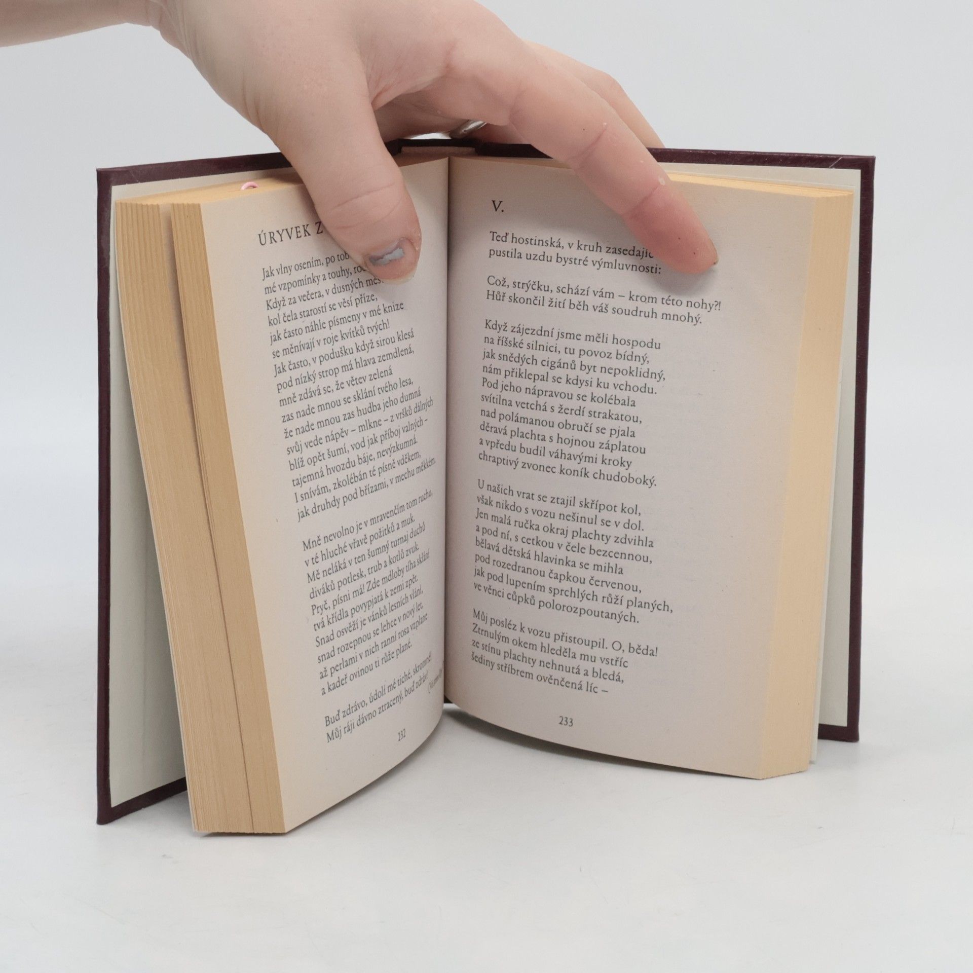 Autores varios To nejlepší z poezie 19. století