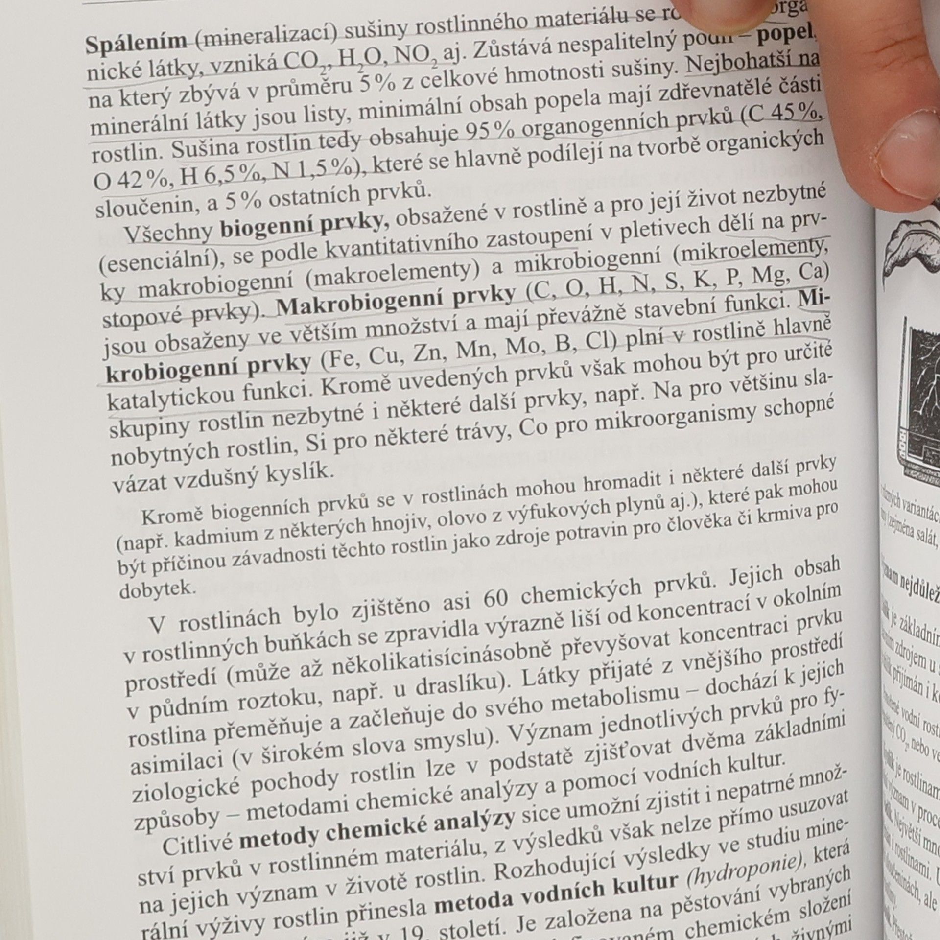 Jana Jarklová Biologie rostlin pro gymnázia