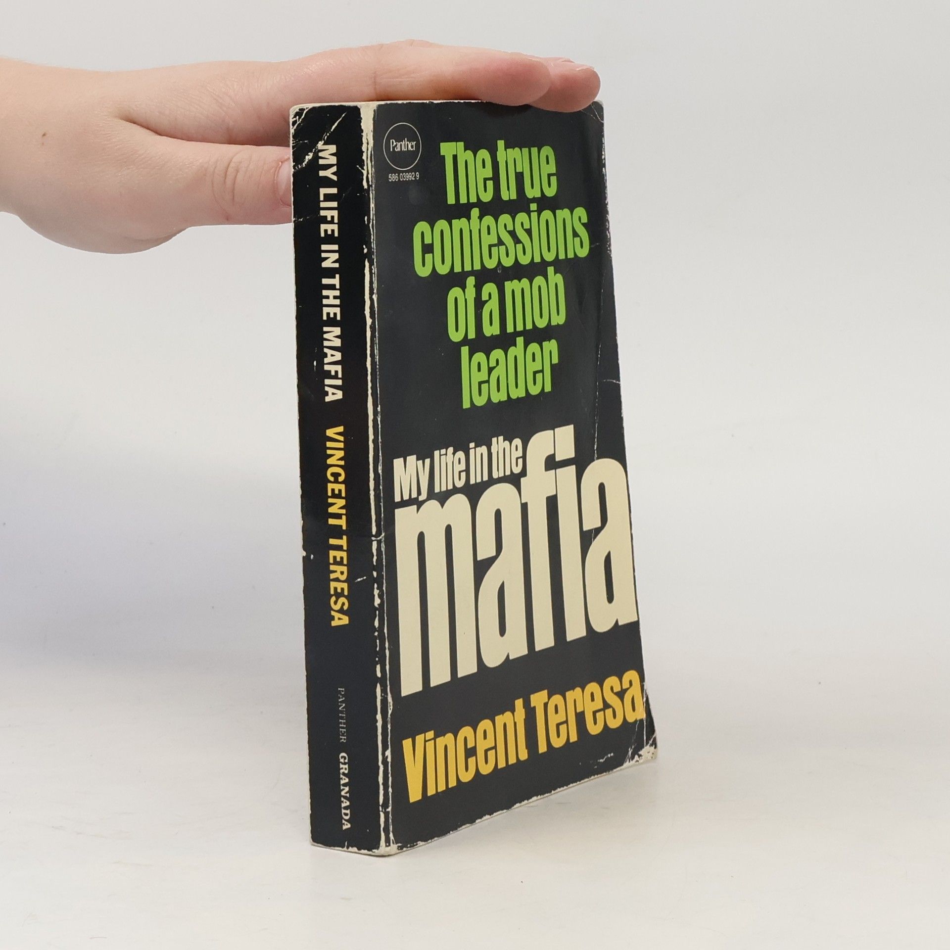 My Life in the Mafia