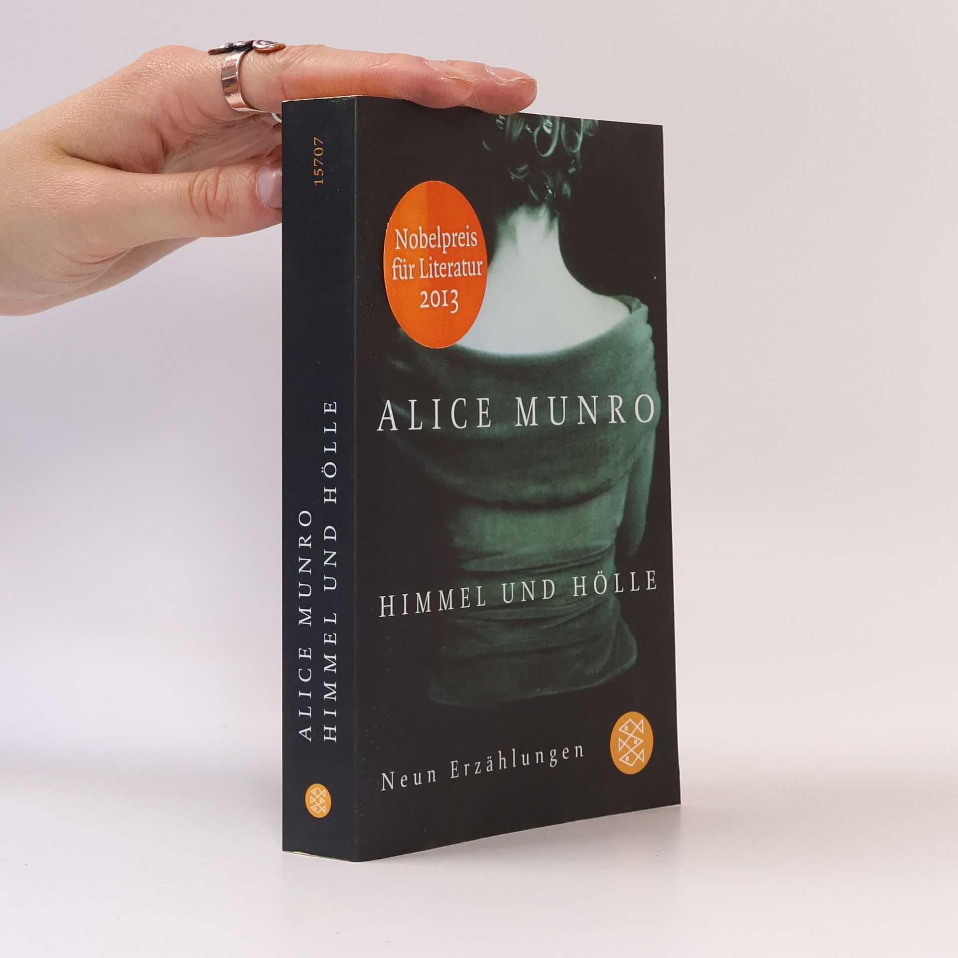 Alice Munro Himmel und Hölle