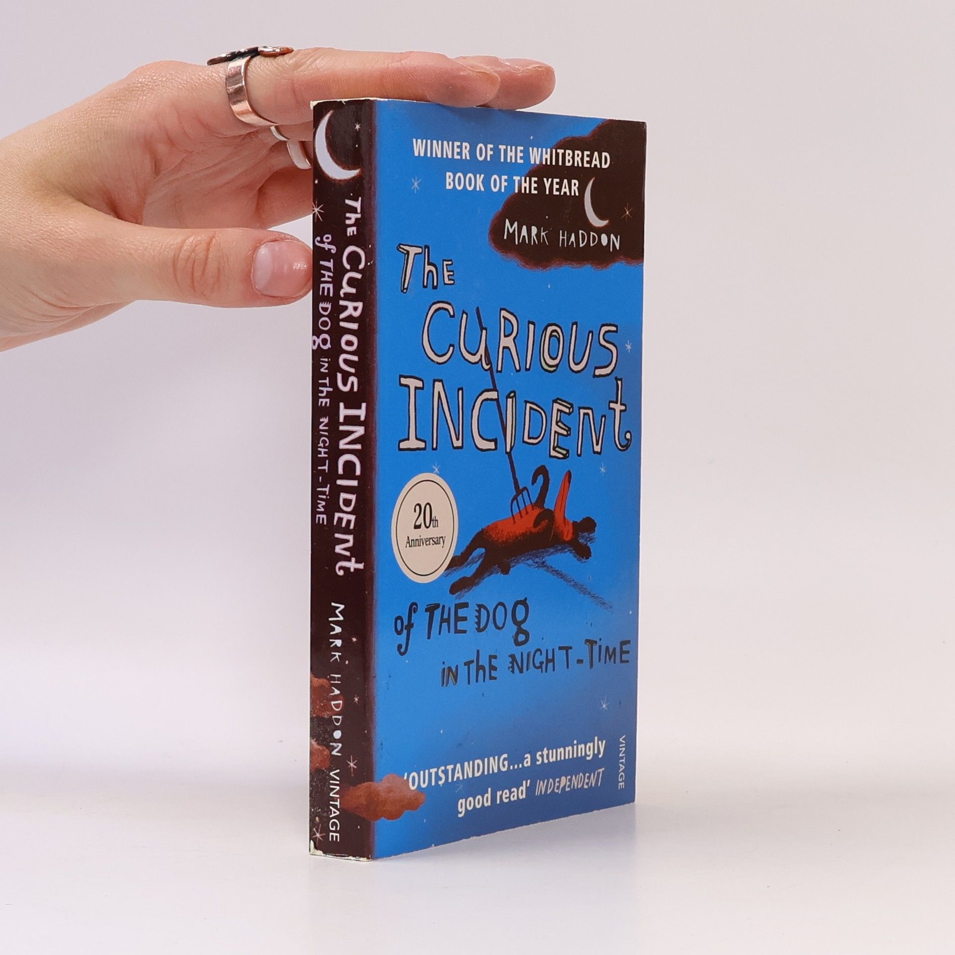 Mark Haddon The Curious Incident of The Dog in The Night-Time