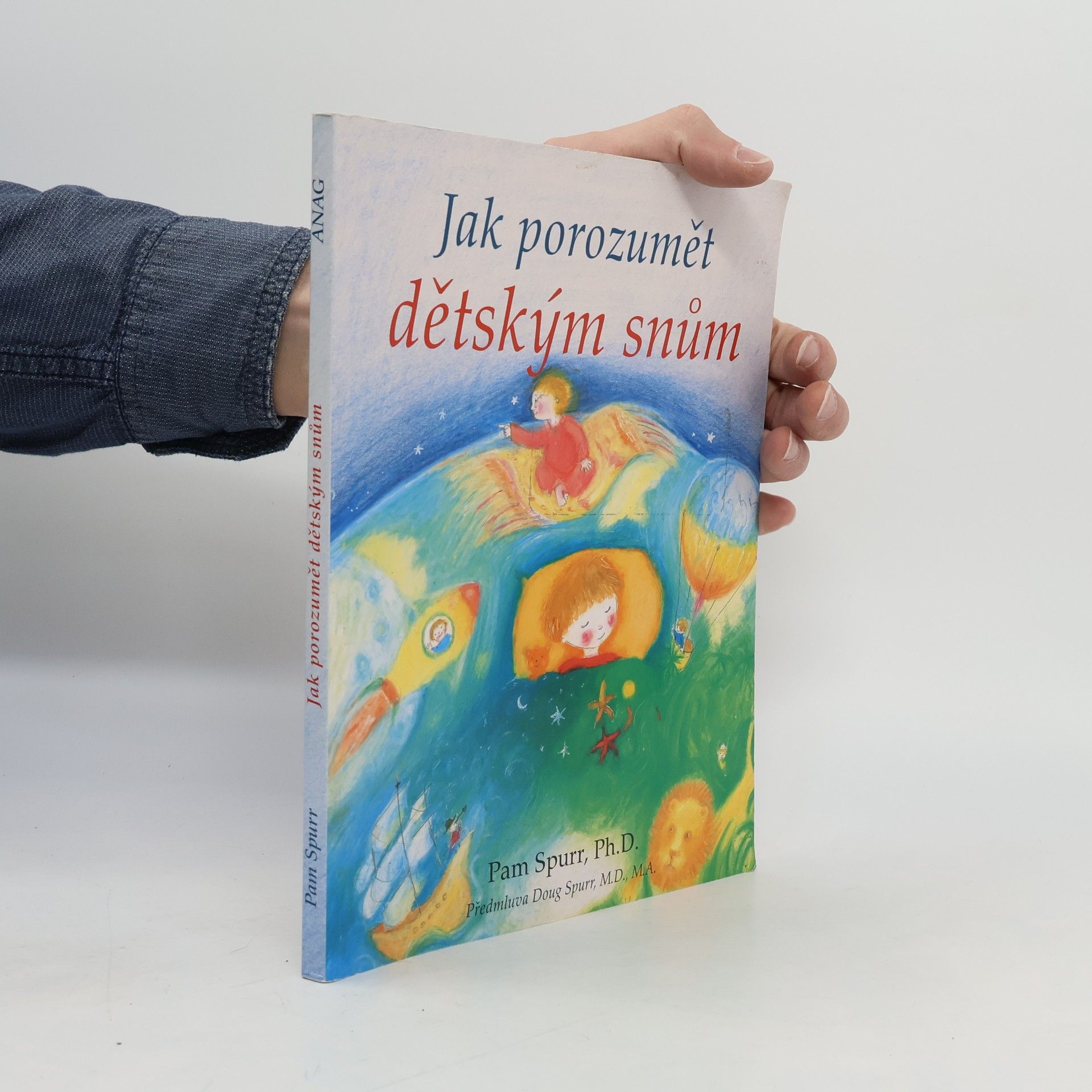 Pam Spurr Jak porozumět dětským snům