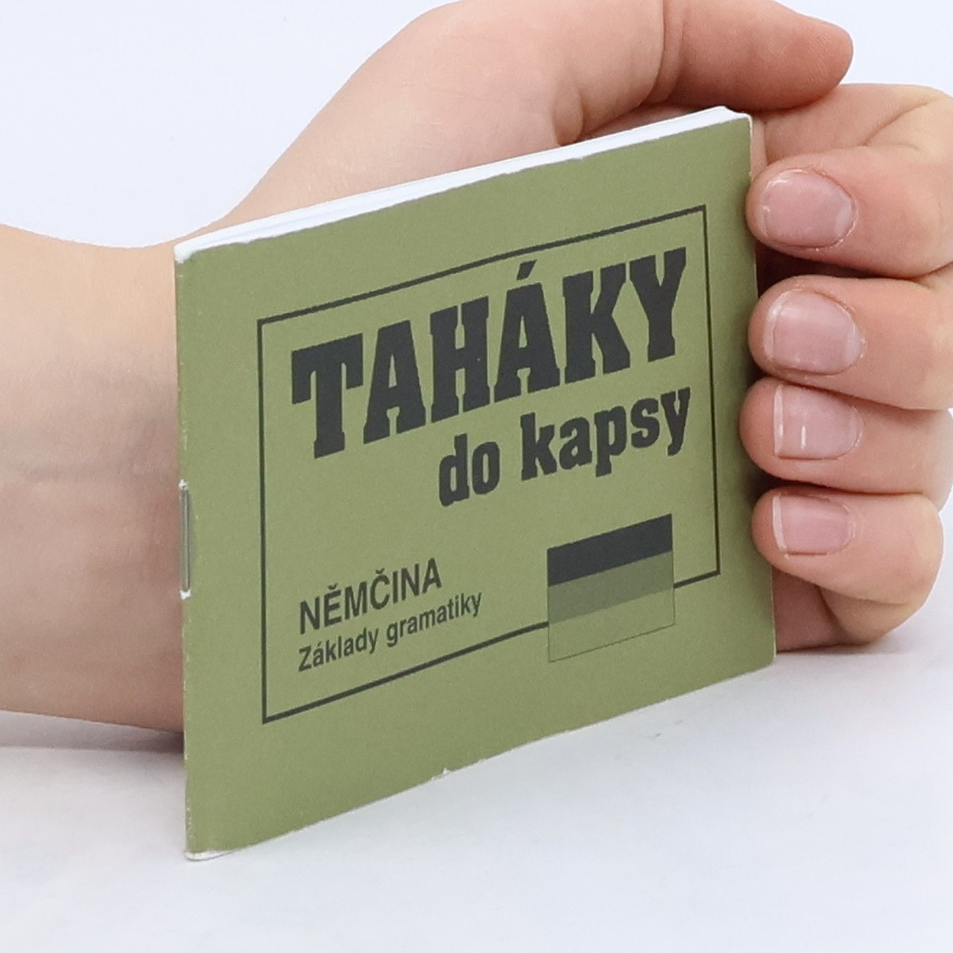 Němčina : základy gramatiky