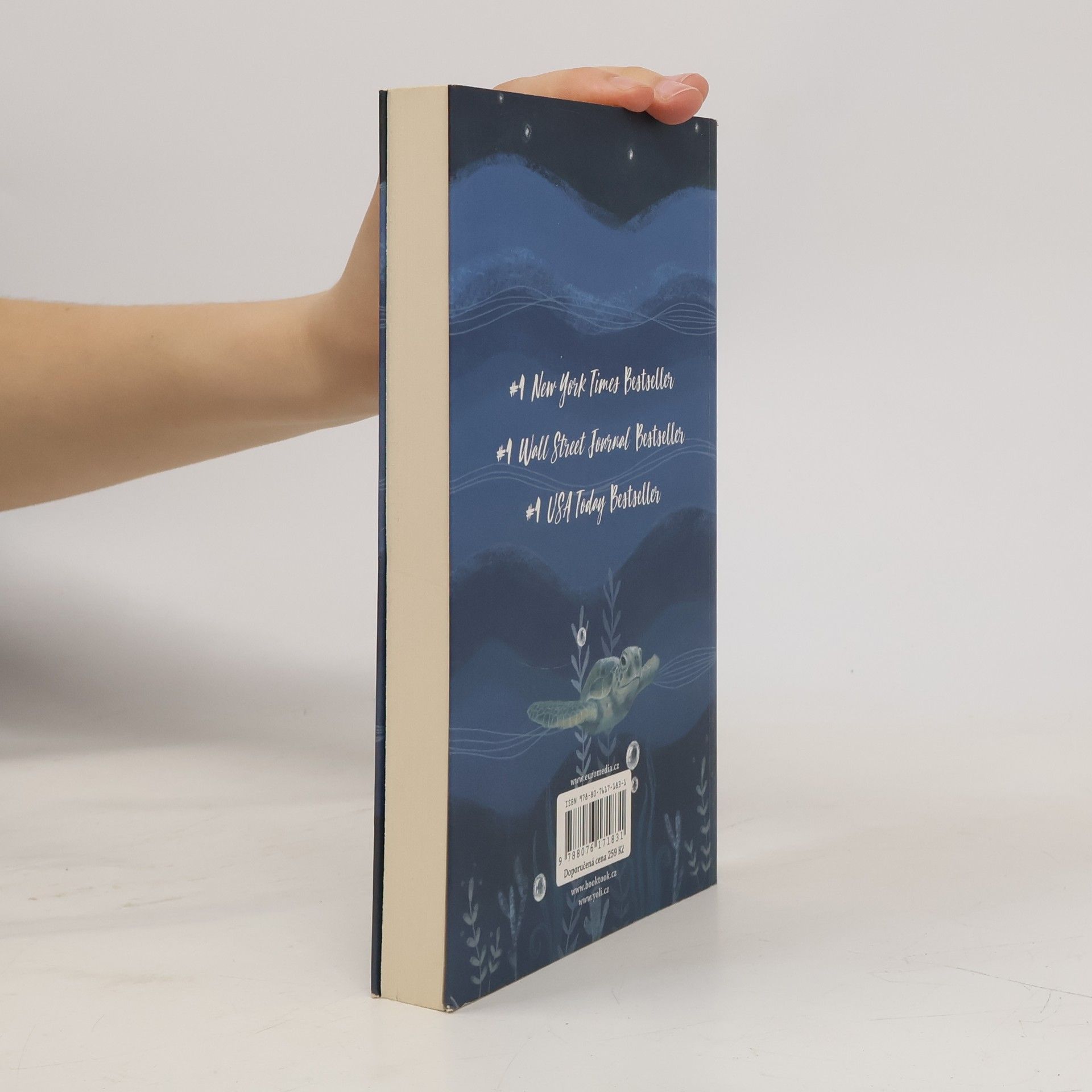 John Green Jedna želva za druhou