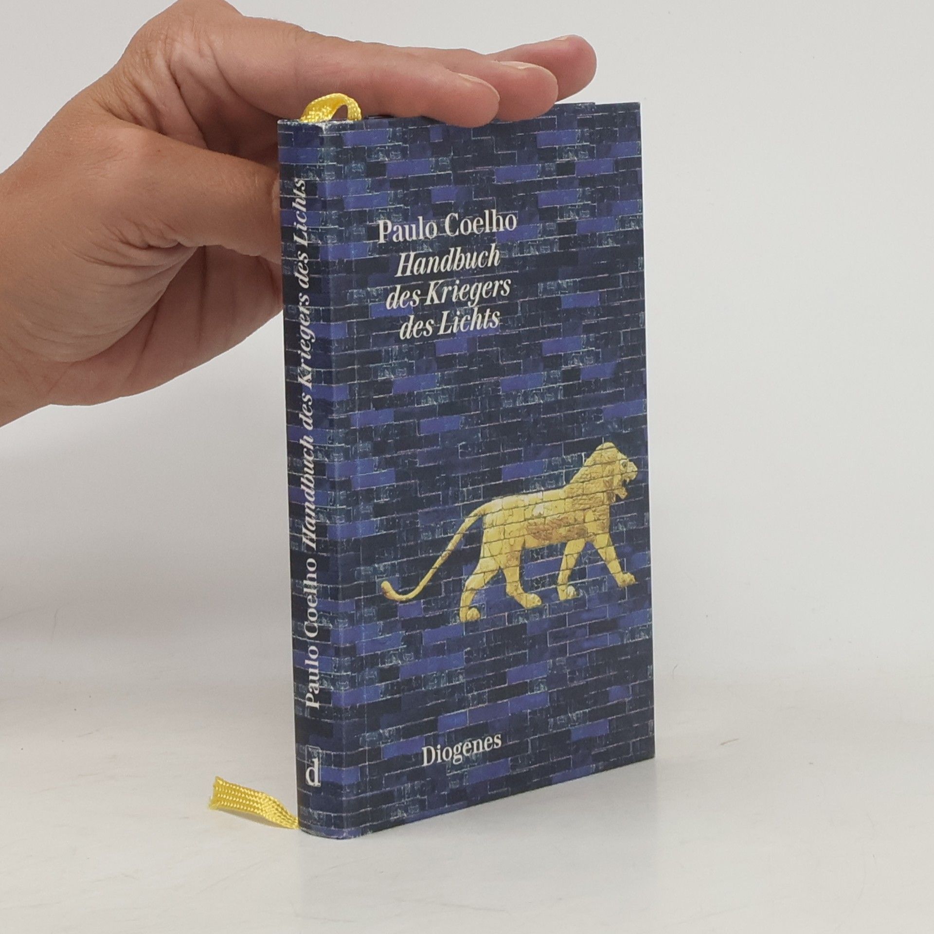 Paulo Coelho Handbuch des Kriegers des Lichts