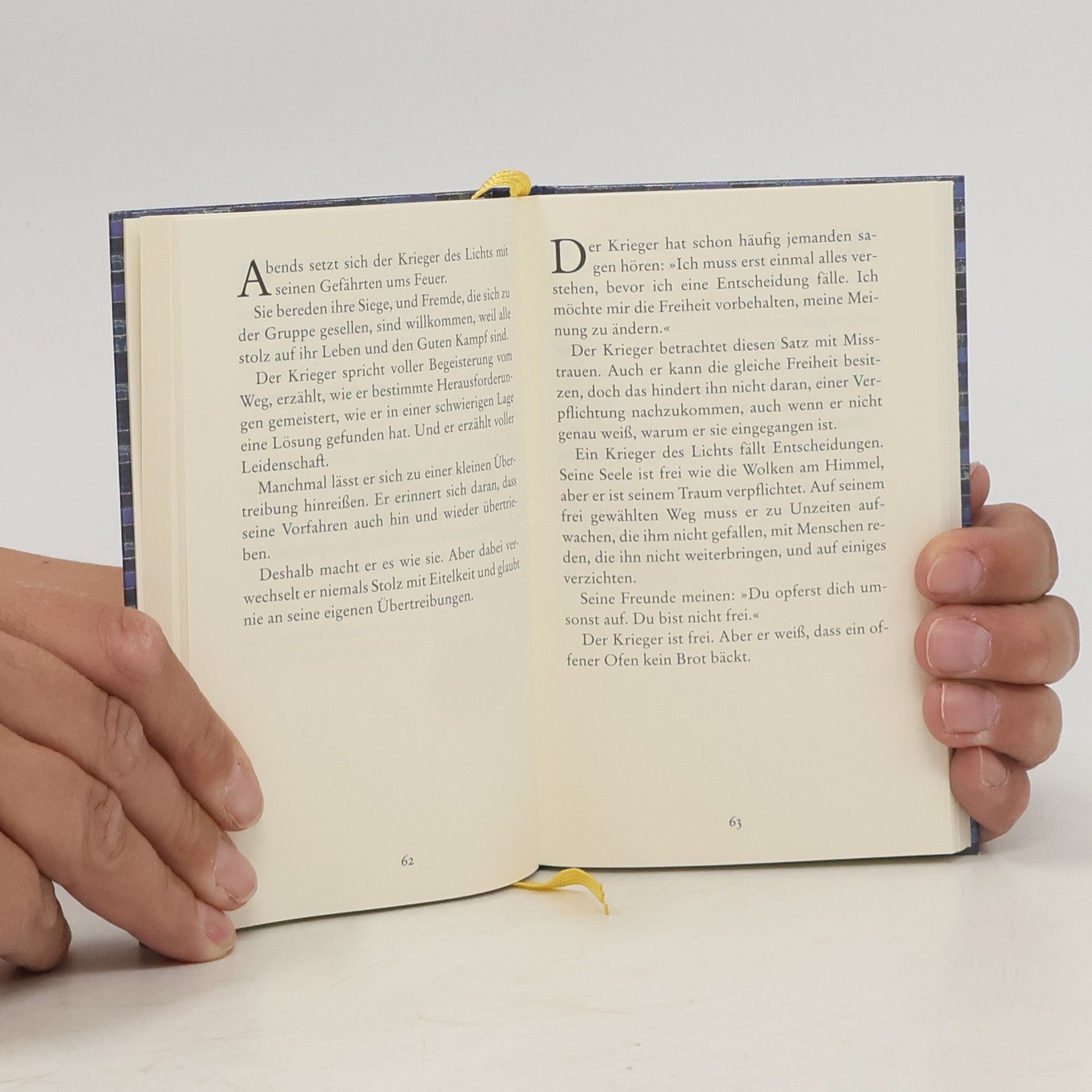 Paulo Coelho Handbuch des Kriegers des Lichts