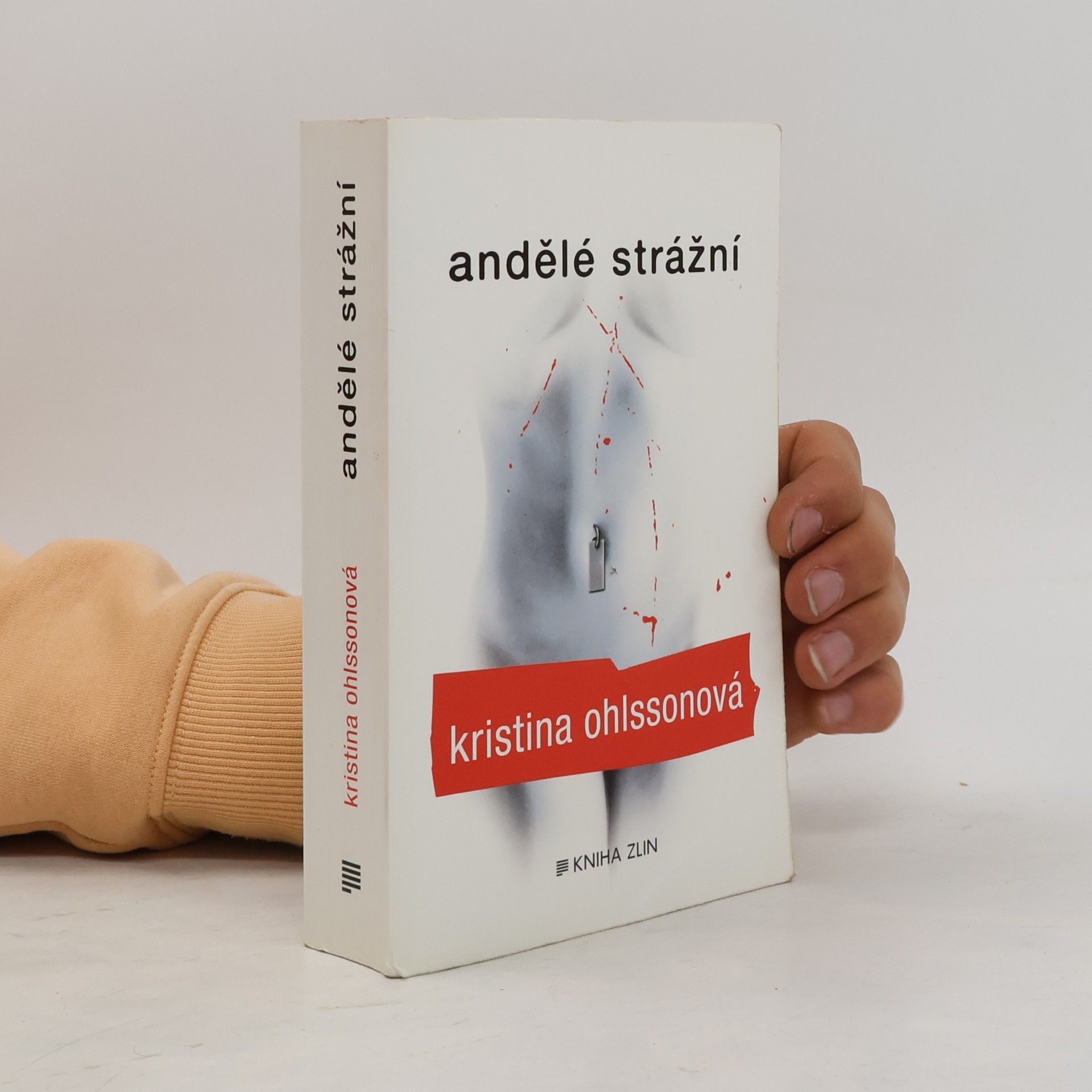 Kristina Ohlsson Andělé strážní