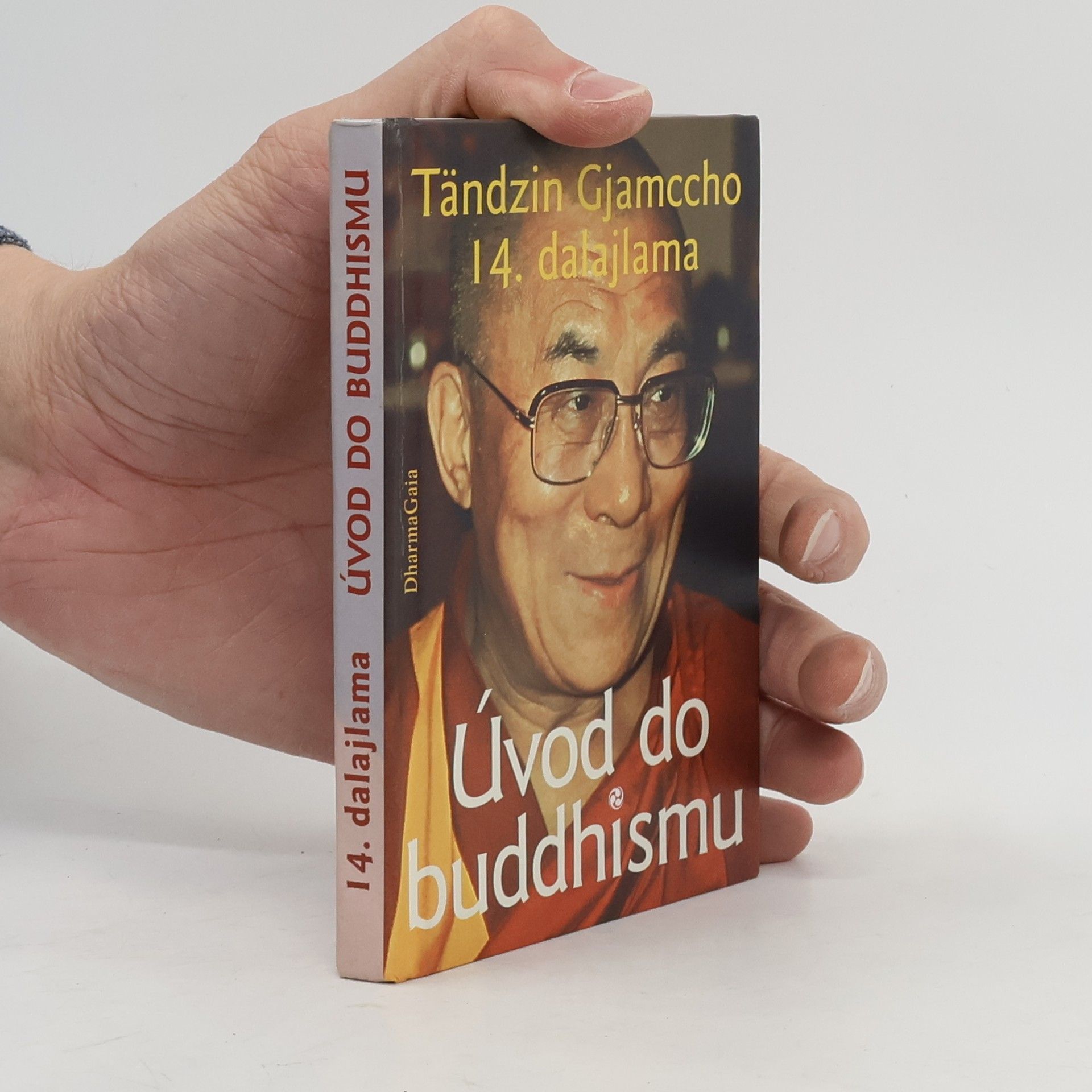 Tändzin Gjamccho Úvod do buddhismu