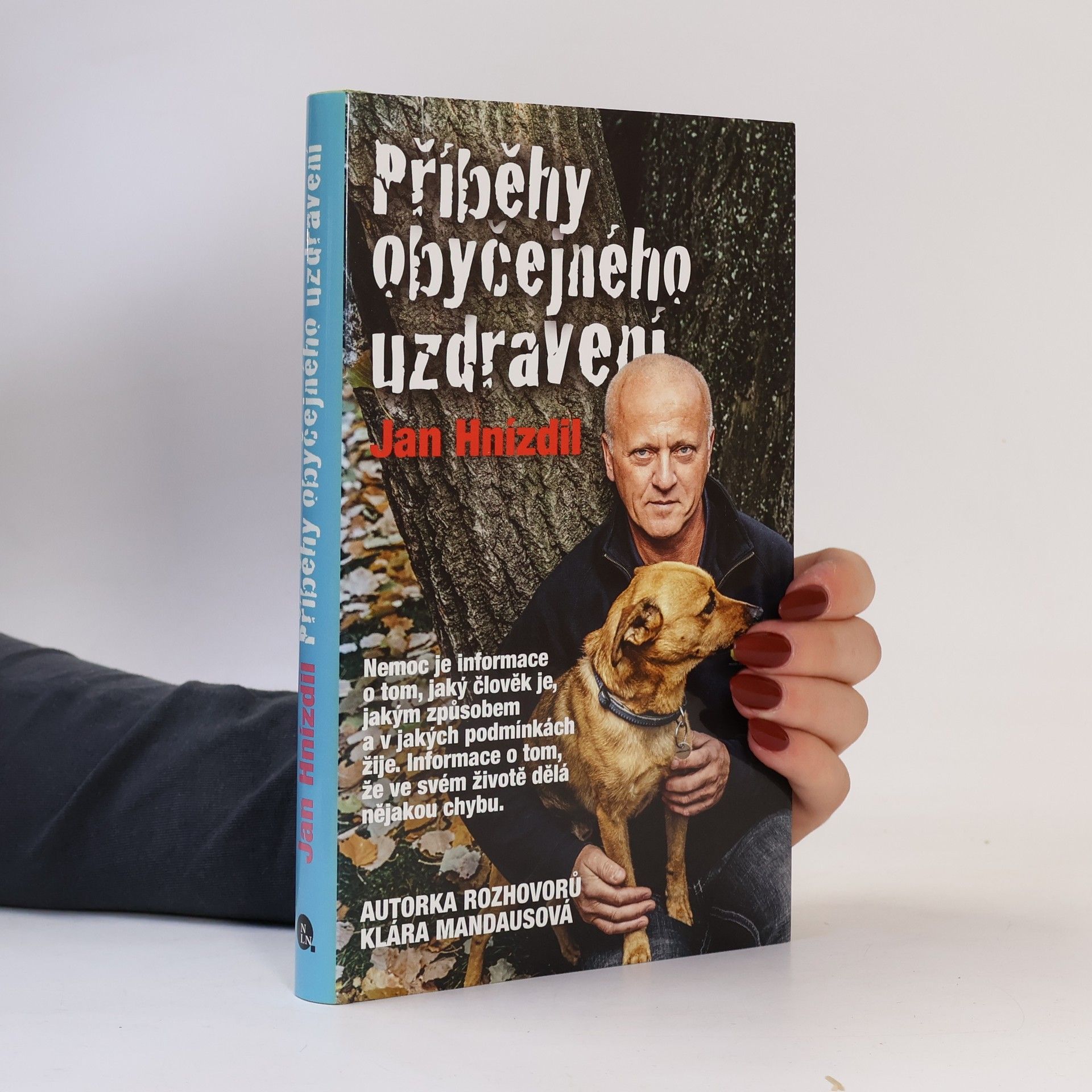 Jan Hnízdil Příběhy obyčejného uzdravení