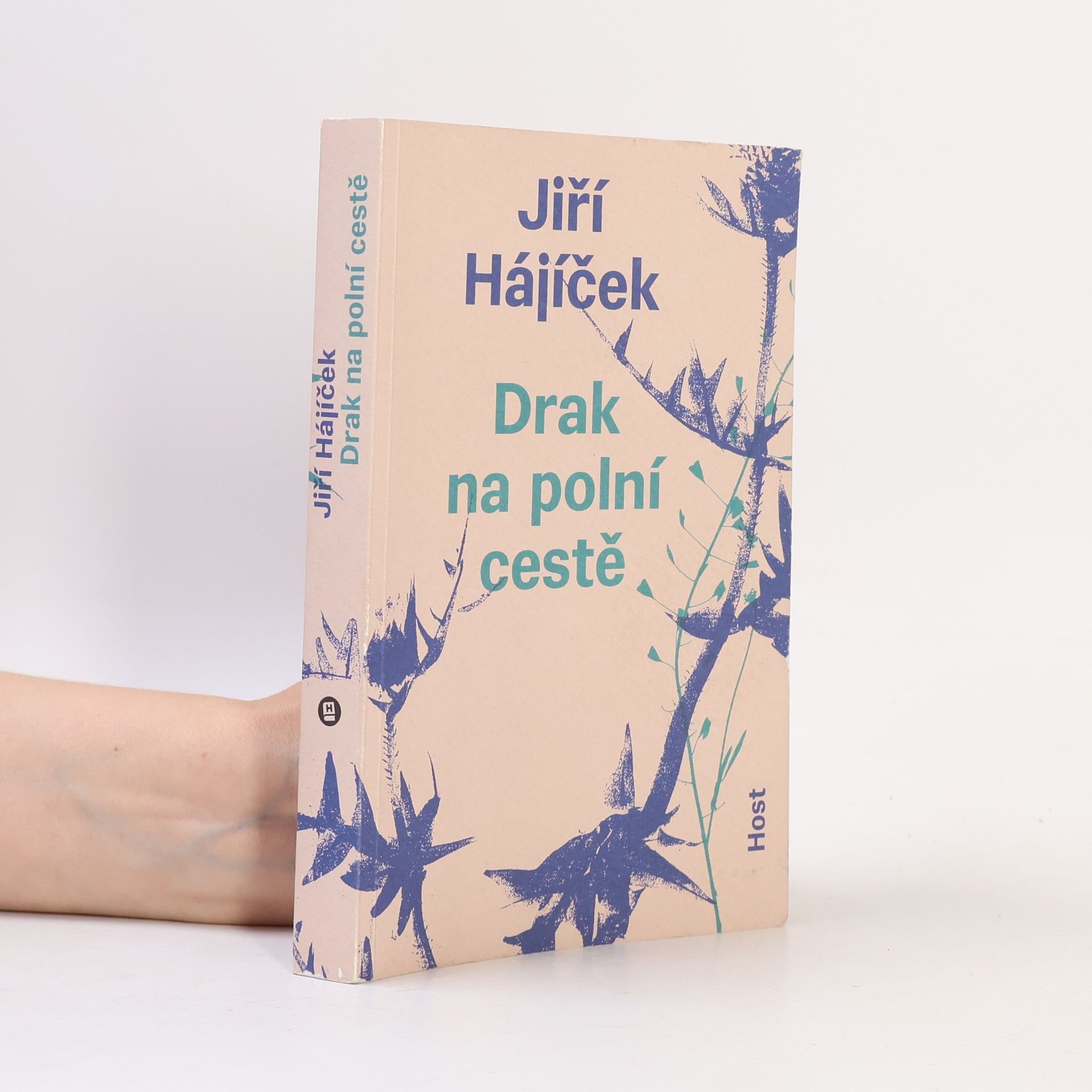 Jiří Hájíček Drak na polní cestě