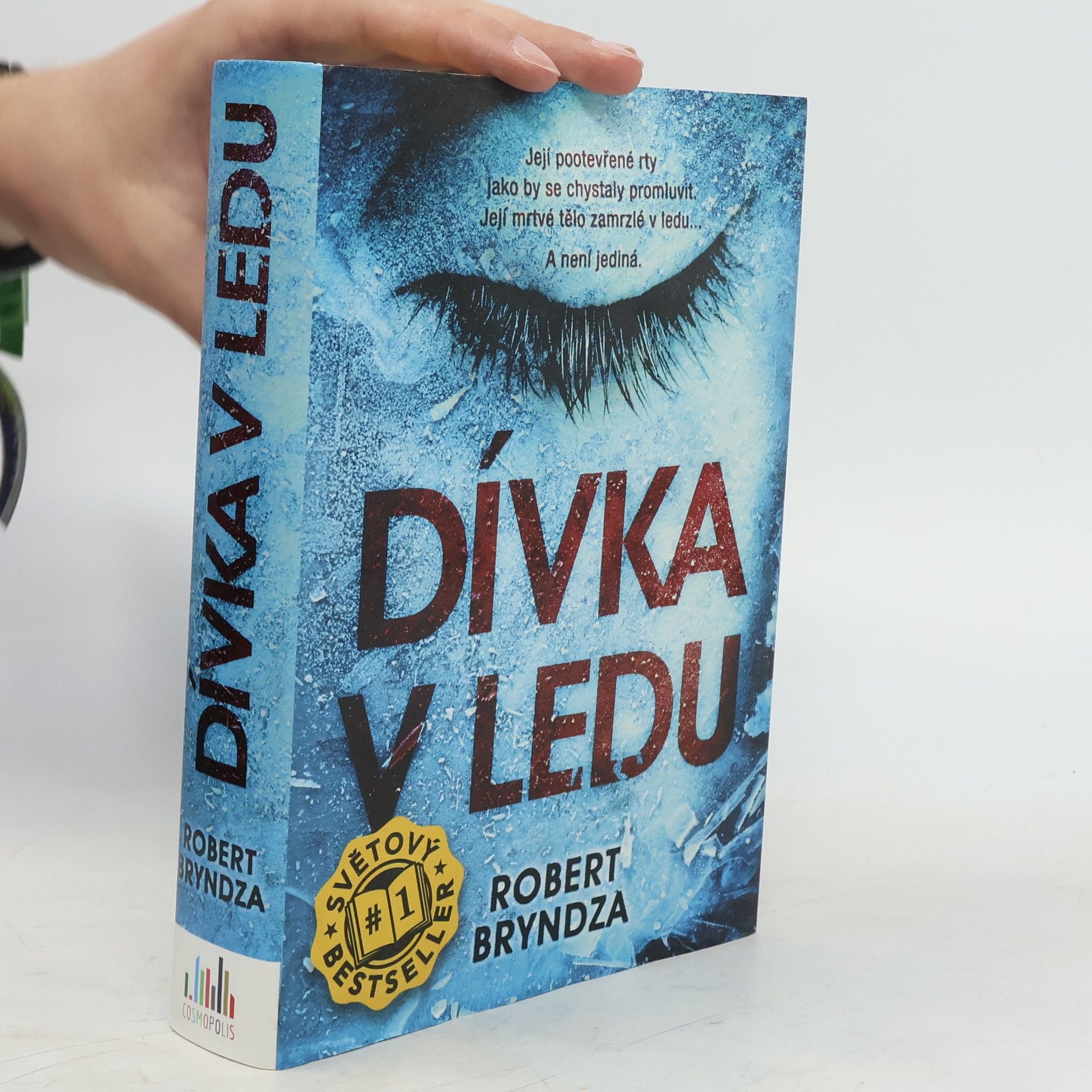 Robert Bryndza Dívka v ledu