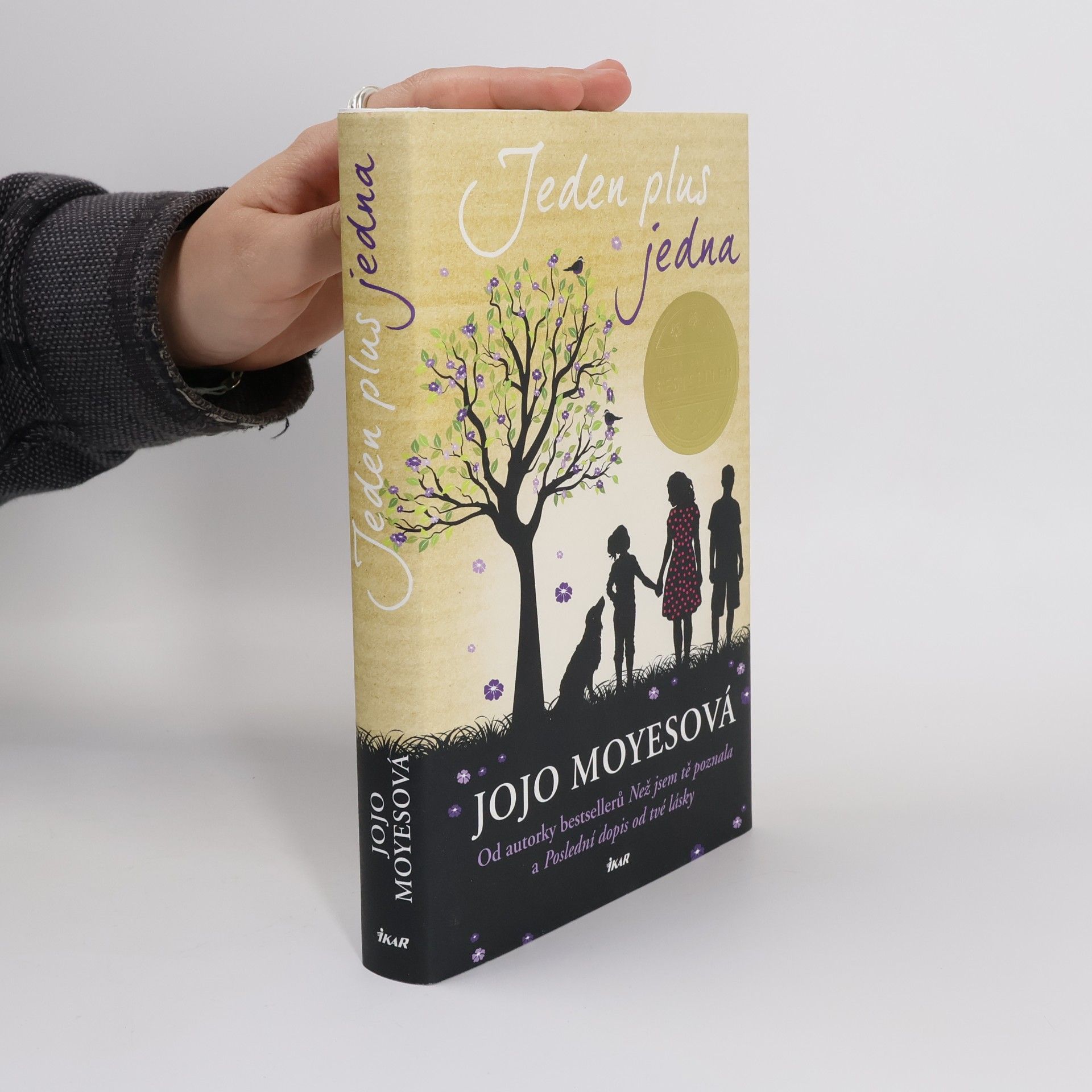 Jojo Moyes Jeden plus jedna