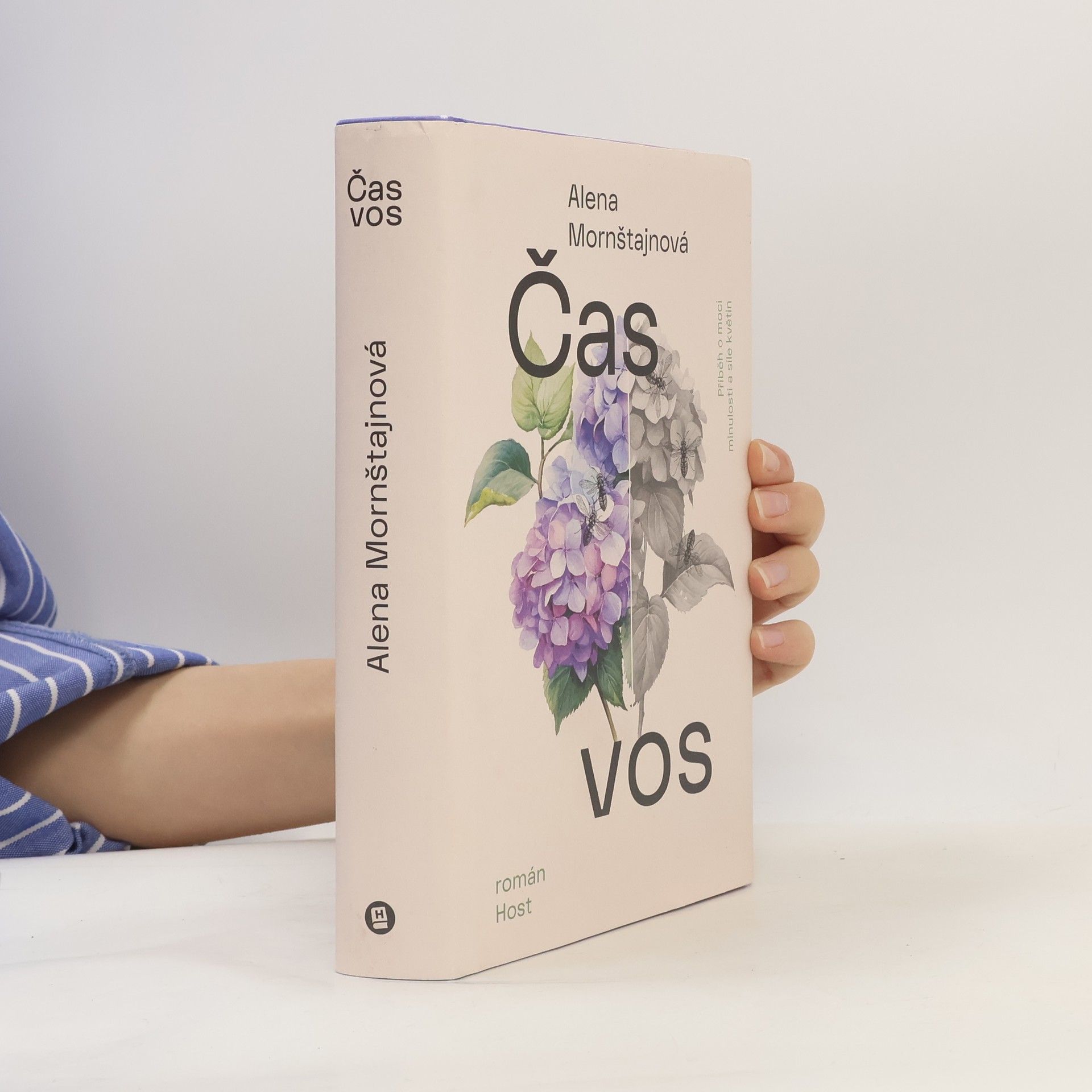 Alena Mornštajnová Čas vos