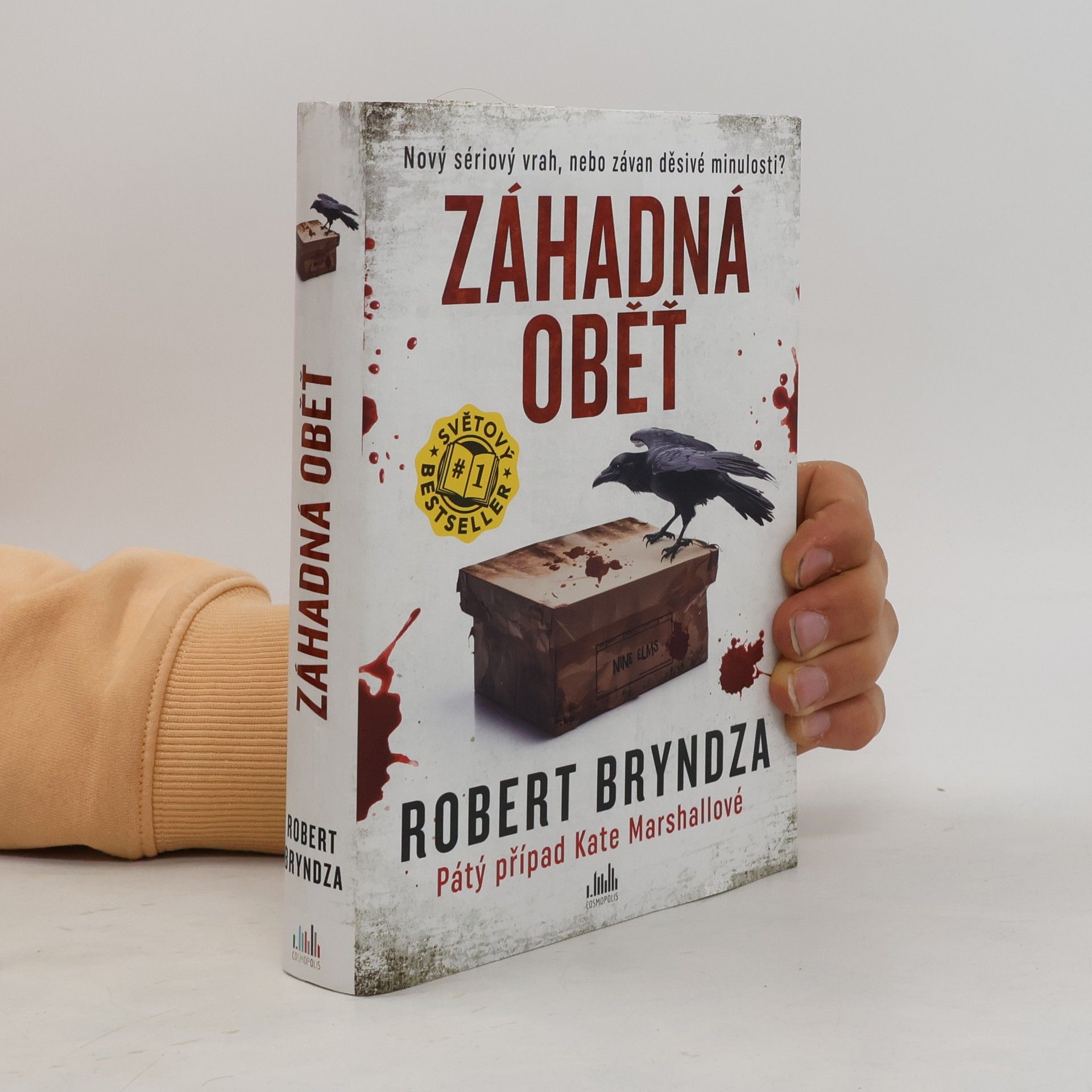 Robert Bryndza Záhadná oběť