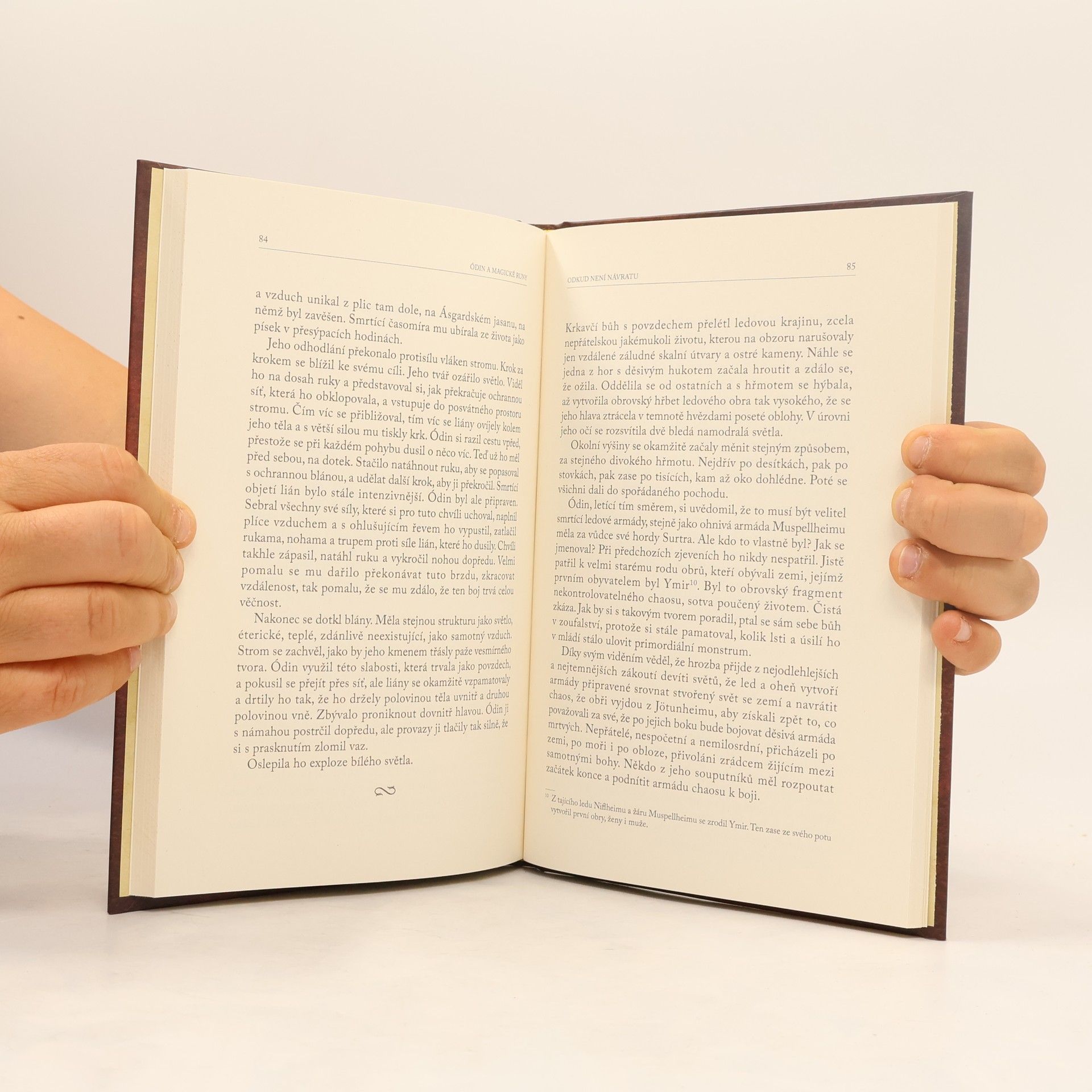 Autorenkollektiv Severská mytologie 11. Ódin a magické runy