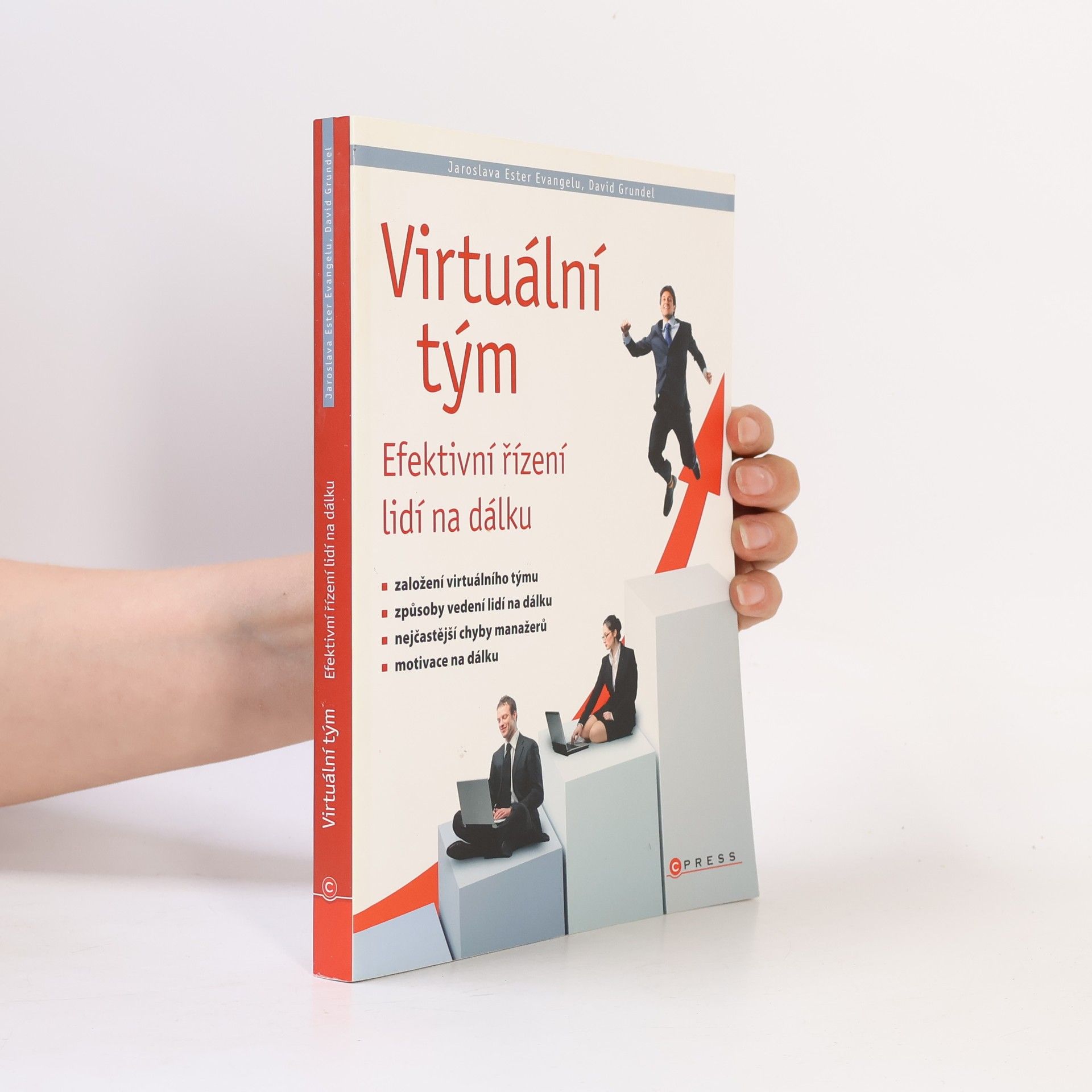 David Grundel Virtuální tým : efektivní řízení týmu na dálku