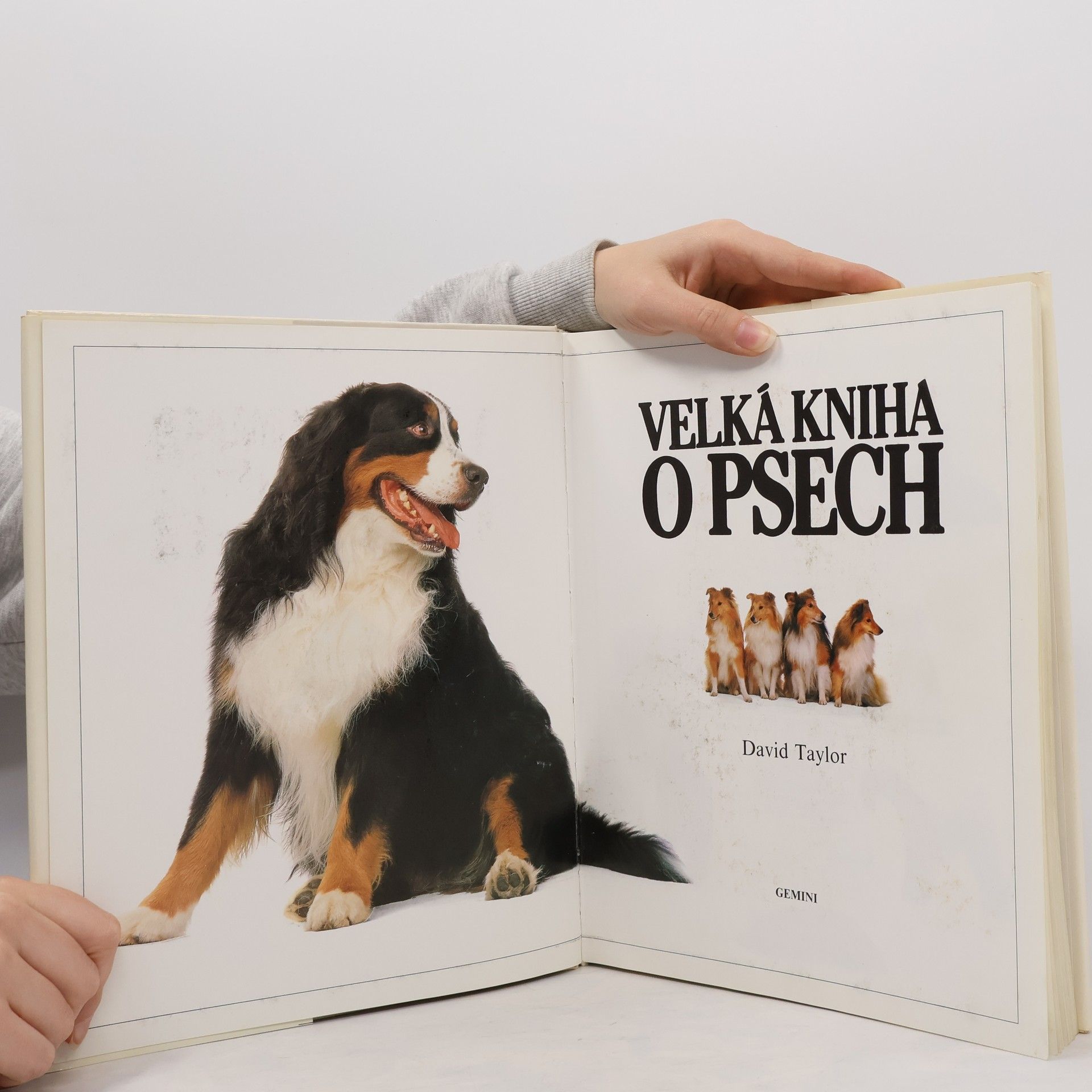 David Conrad Taylor Velká kniha o psech