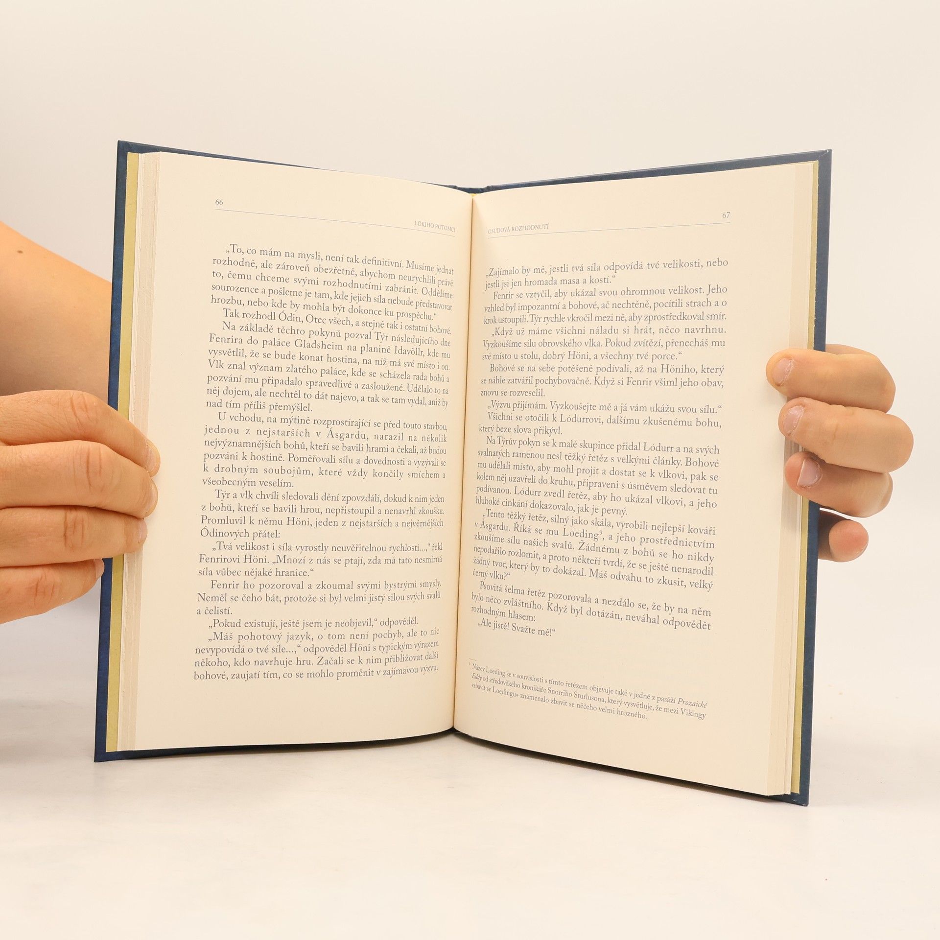 Autorenkollektiv Severská mytologie 22. Loki. Lokiho potomci