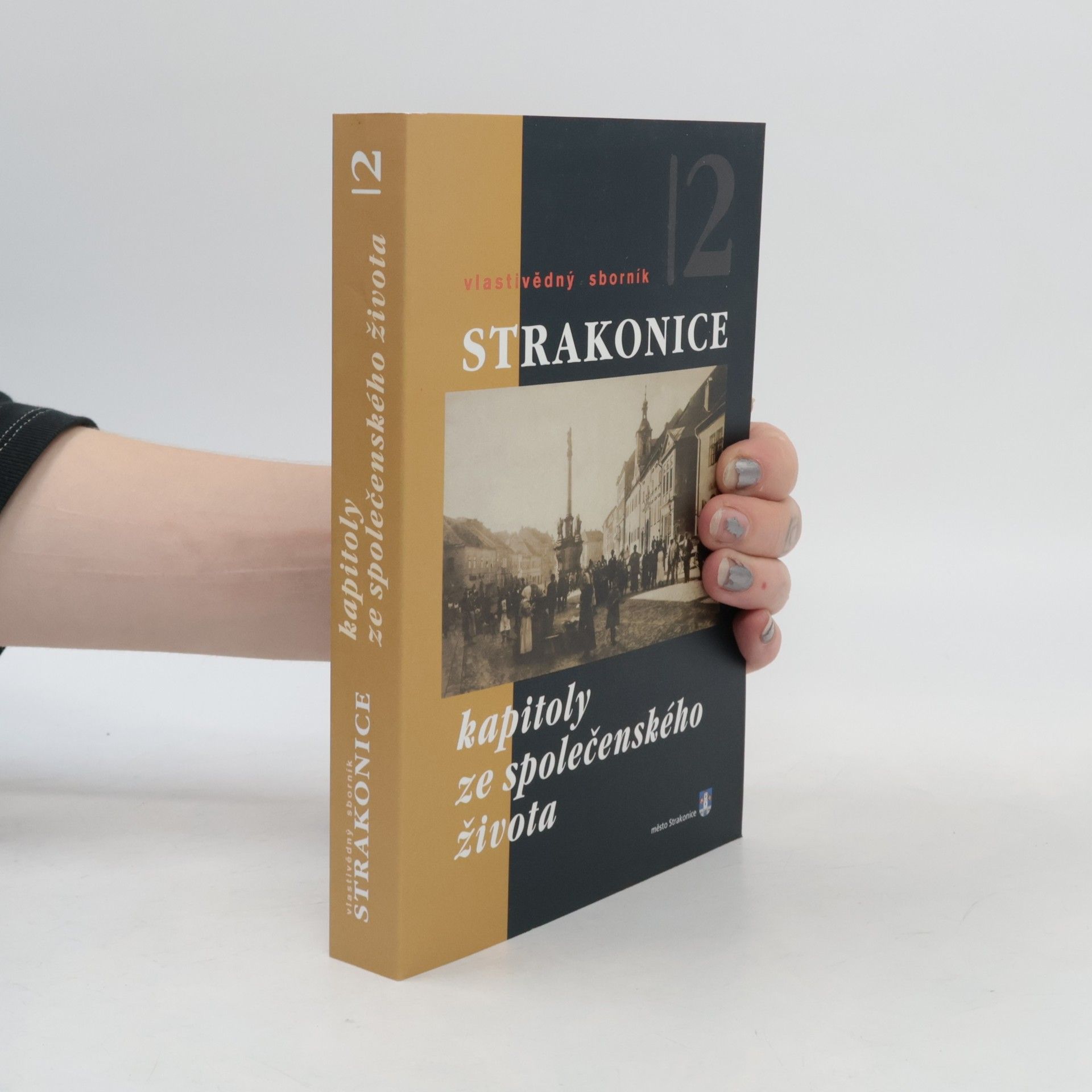 Various authors Strakonice. Vlastivědný sborník 2. Kapitoly ze společenského života