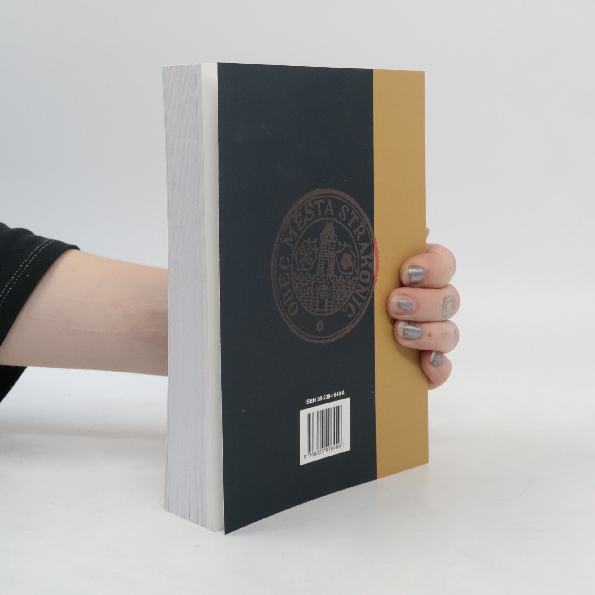 Various authors Strakonice. Vlastivědný sborník 2. Kapitoly ze společenského života