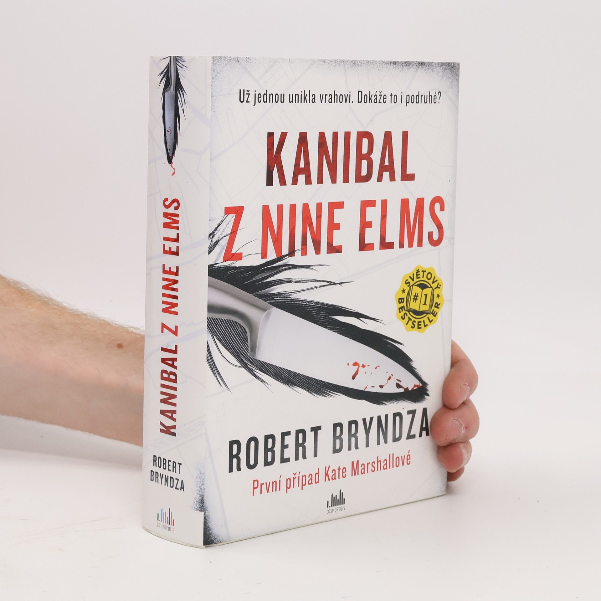 Robert Bryndza Kanibal z Nine Elms
