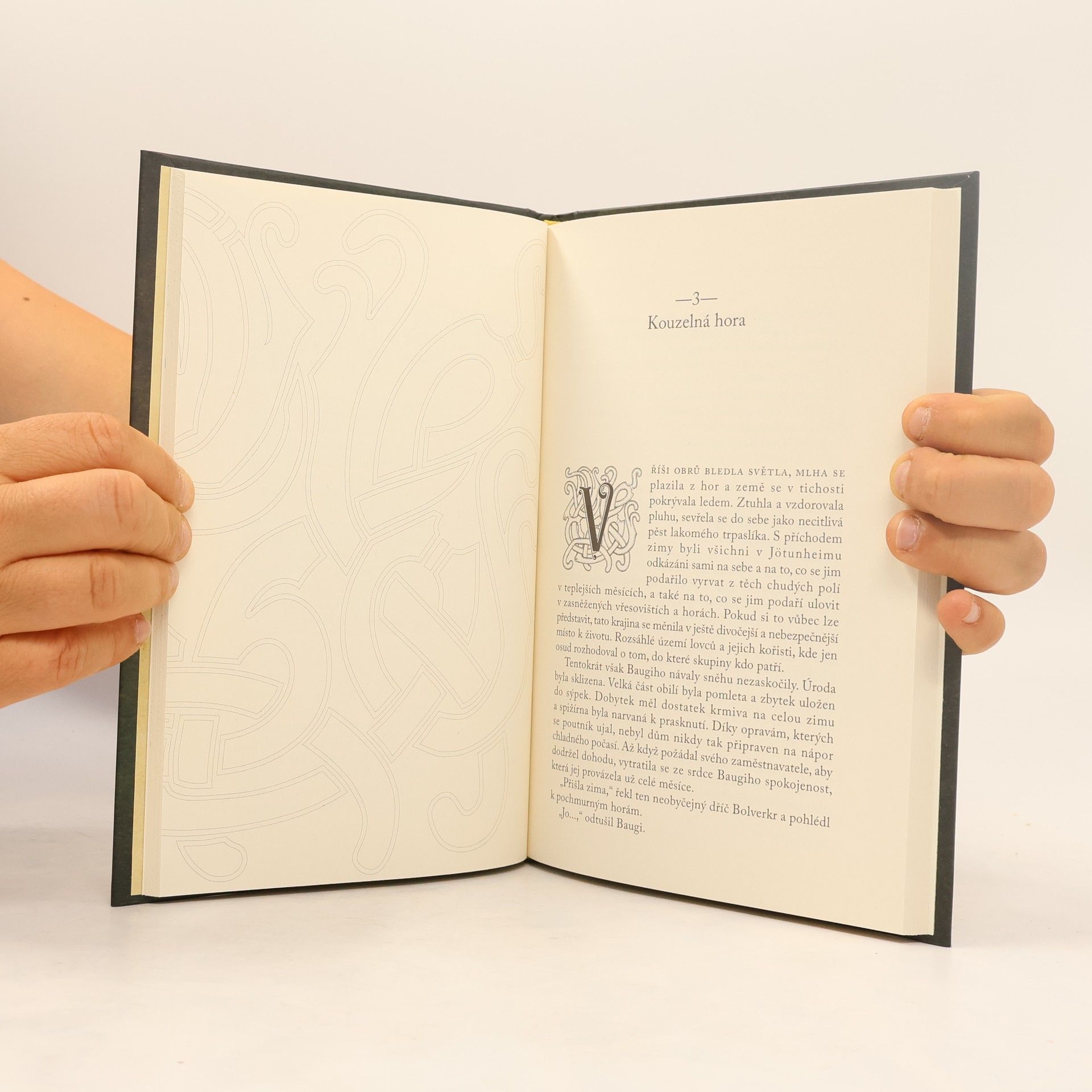 Collectif d'auteurs Ódin a síla stvoření