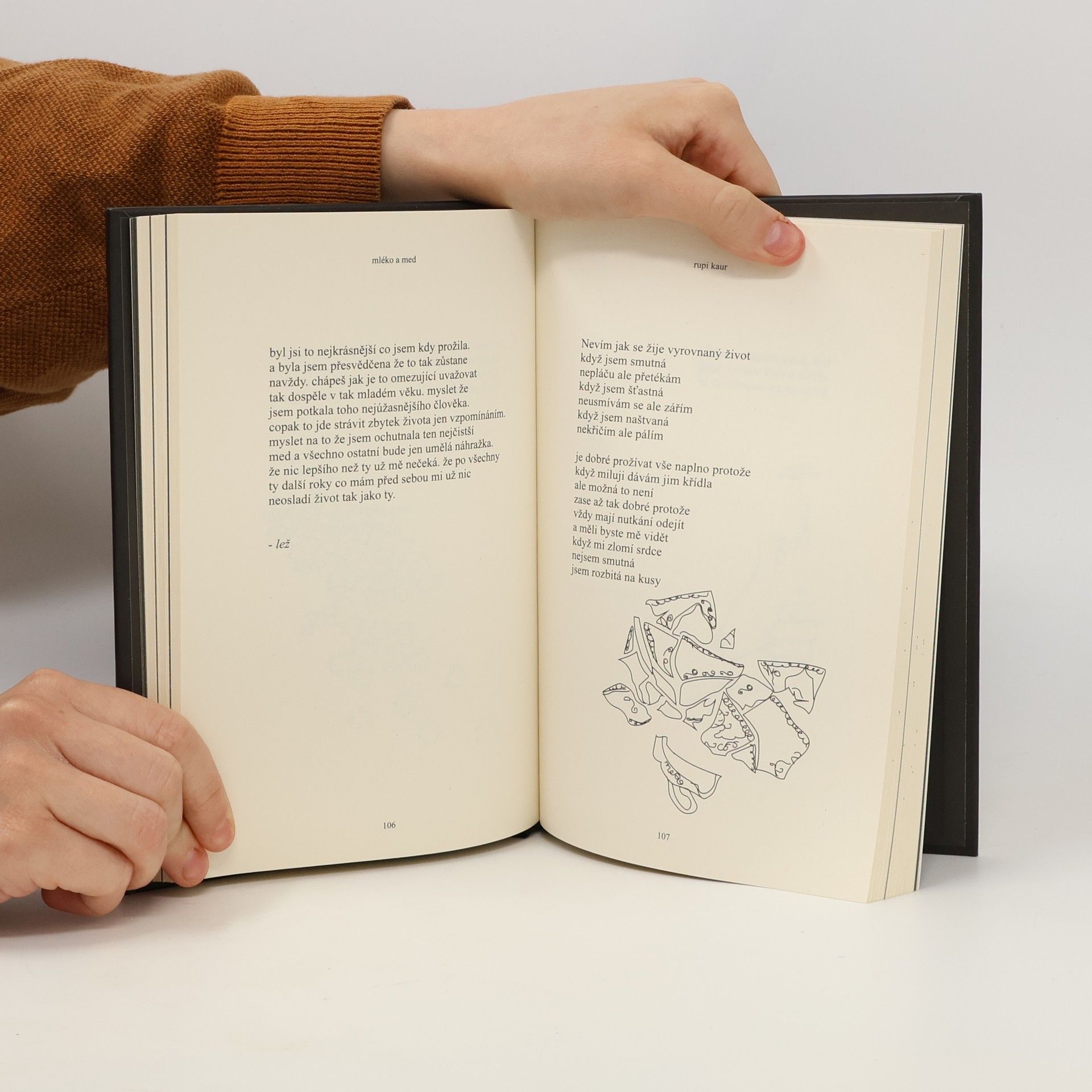 Rupi Kaur Mléko a med