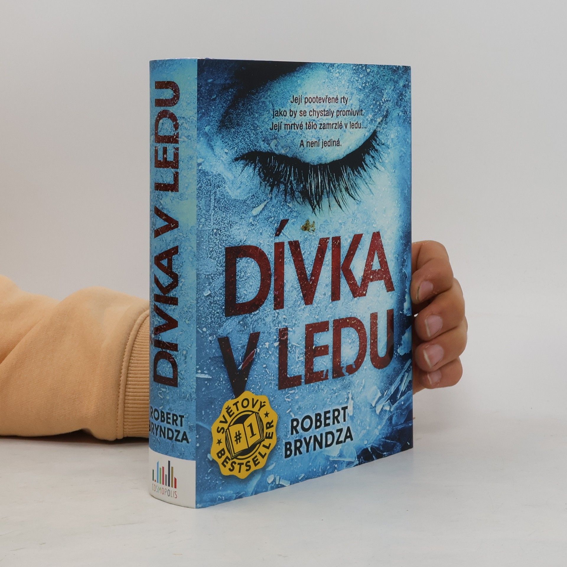 Robert Bryndza Dívka v ledu
