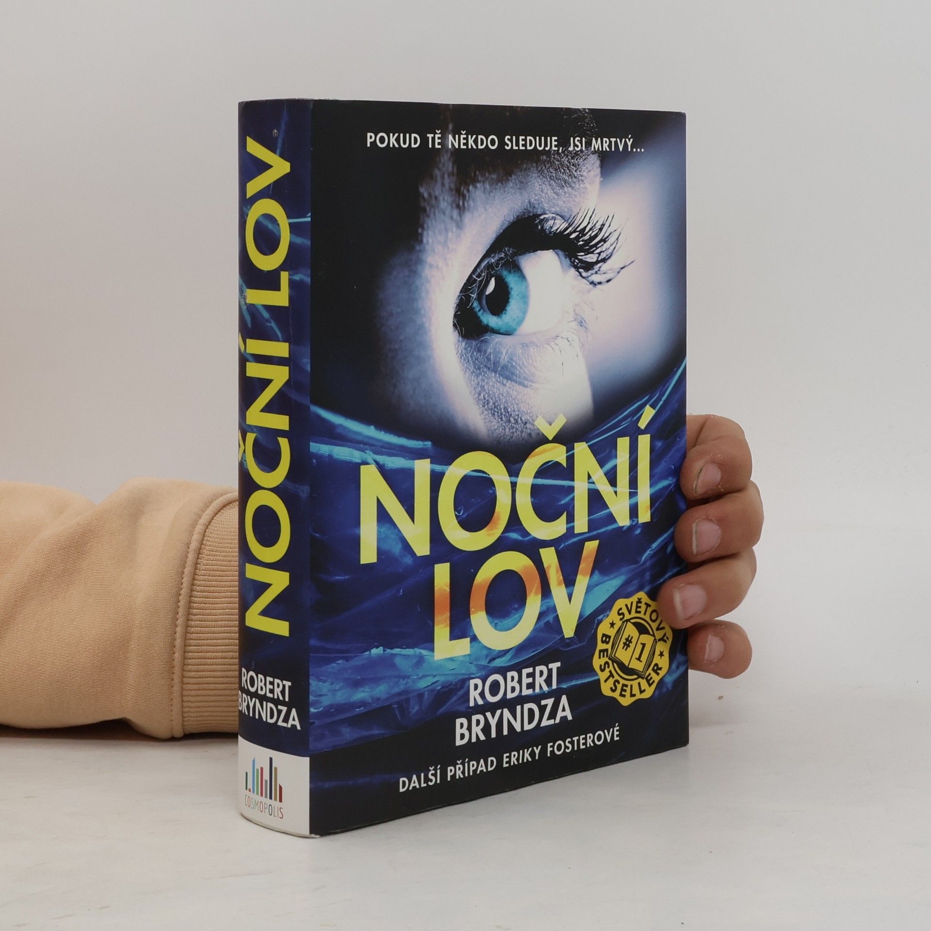 Robert Bryndza Noční lov