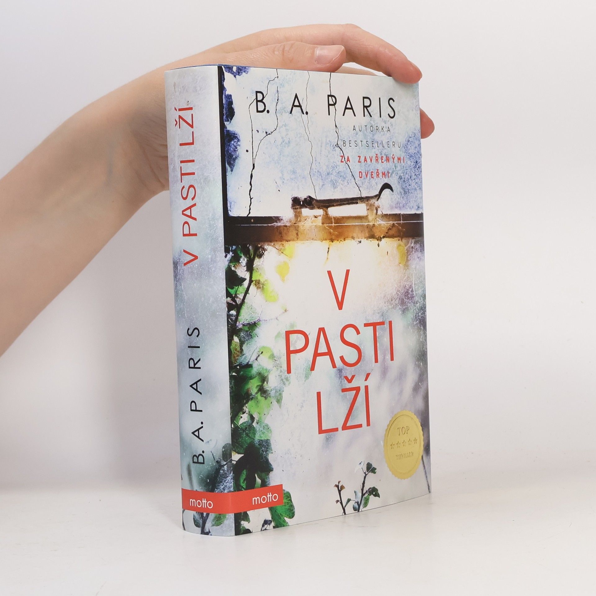 B.A. Paris V pasti lží