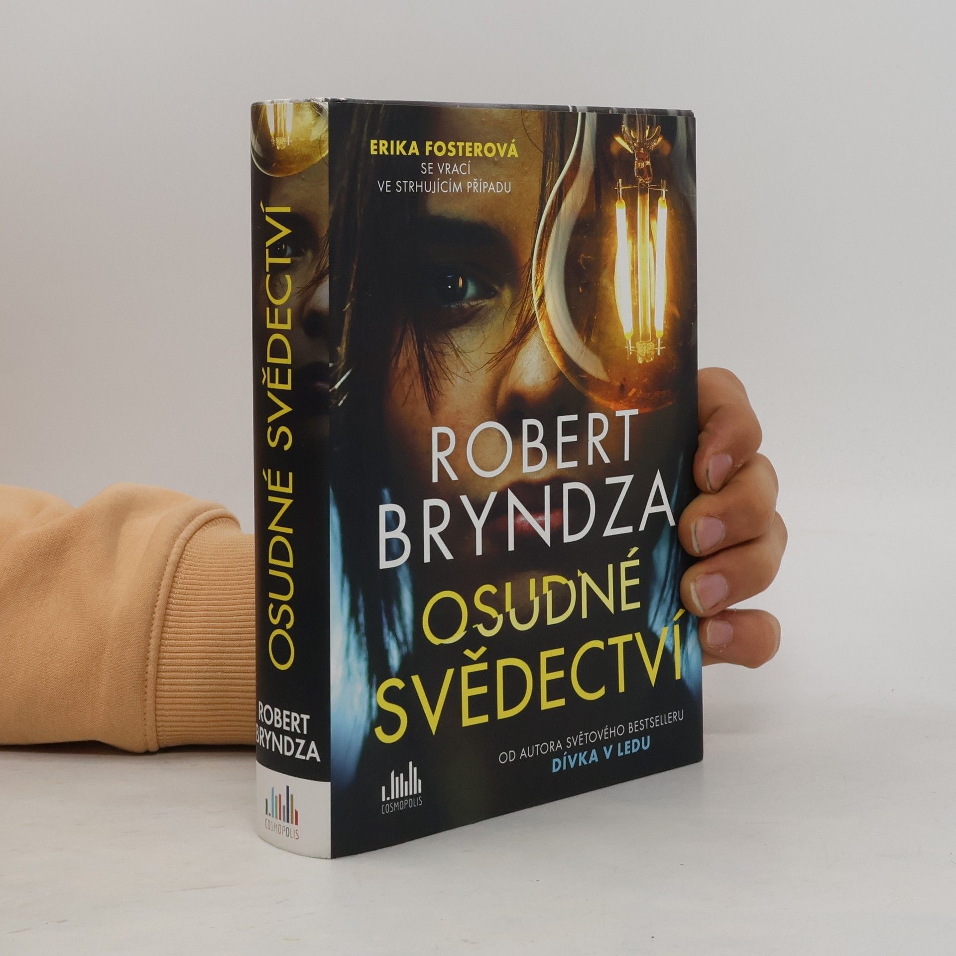 Robert Bryndza Osudné svědectví