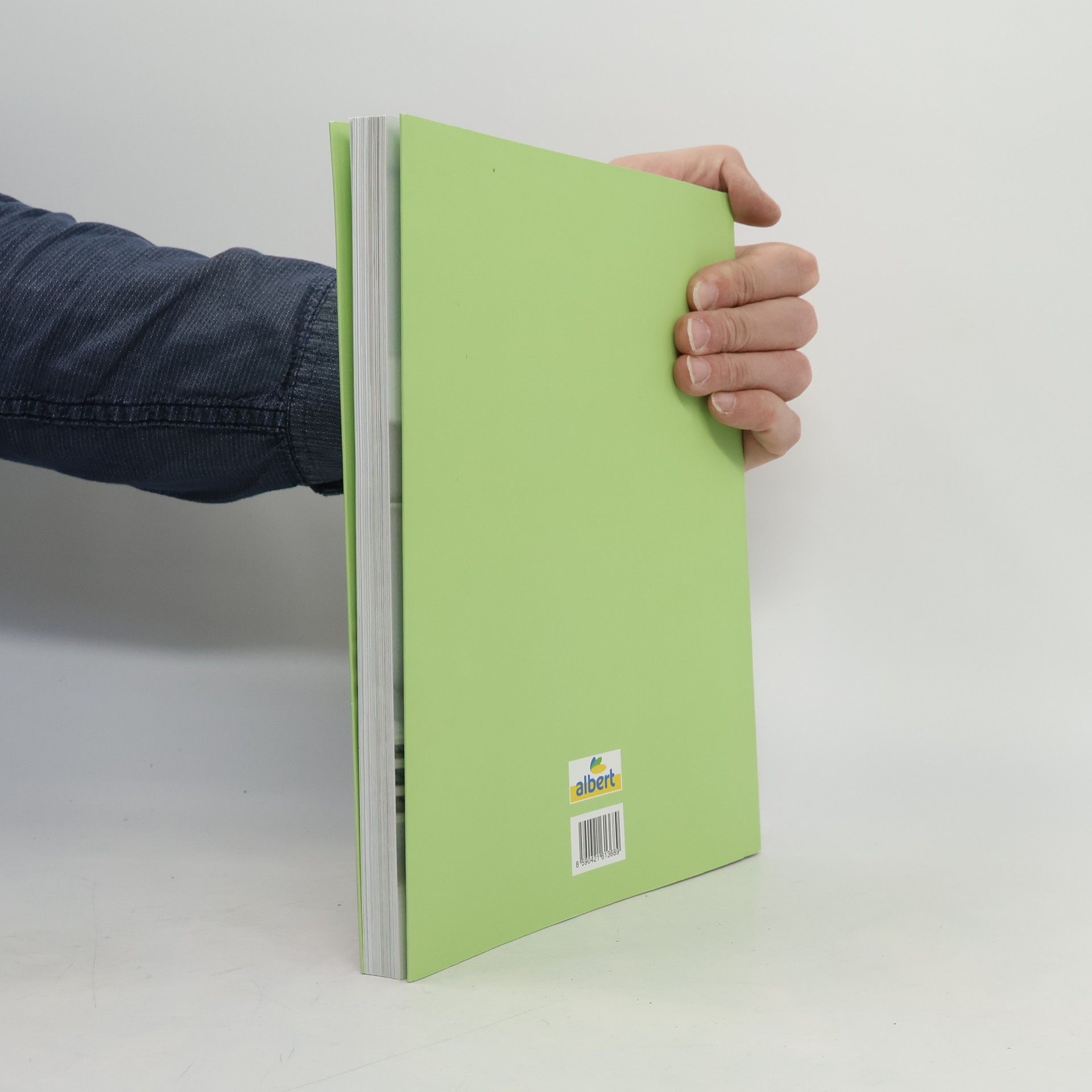 Collectif d'auteurs Albert v kuchyni. Od jara do zimy