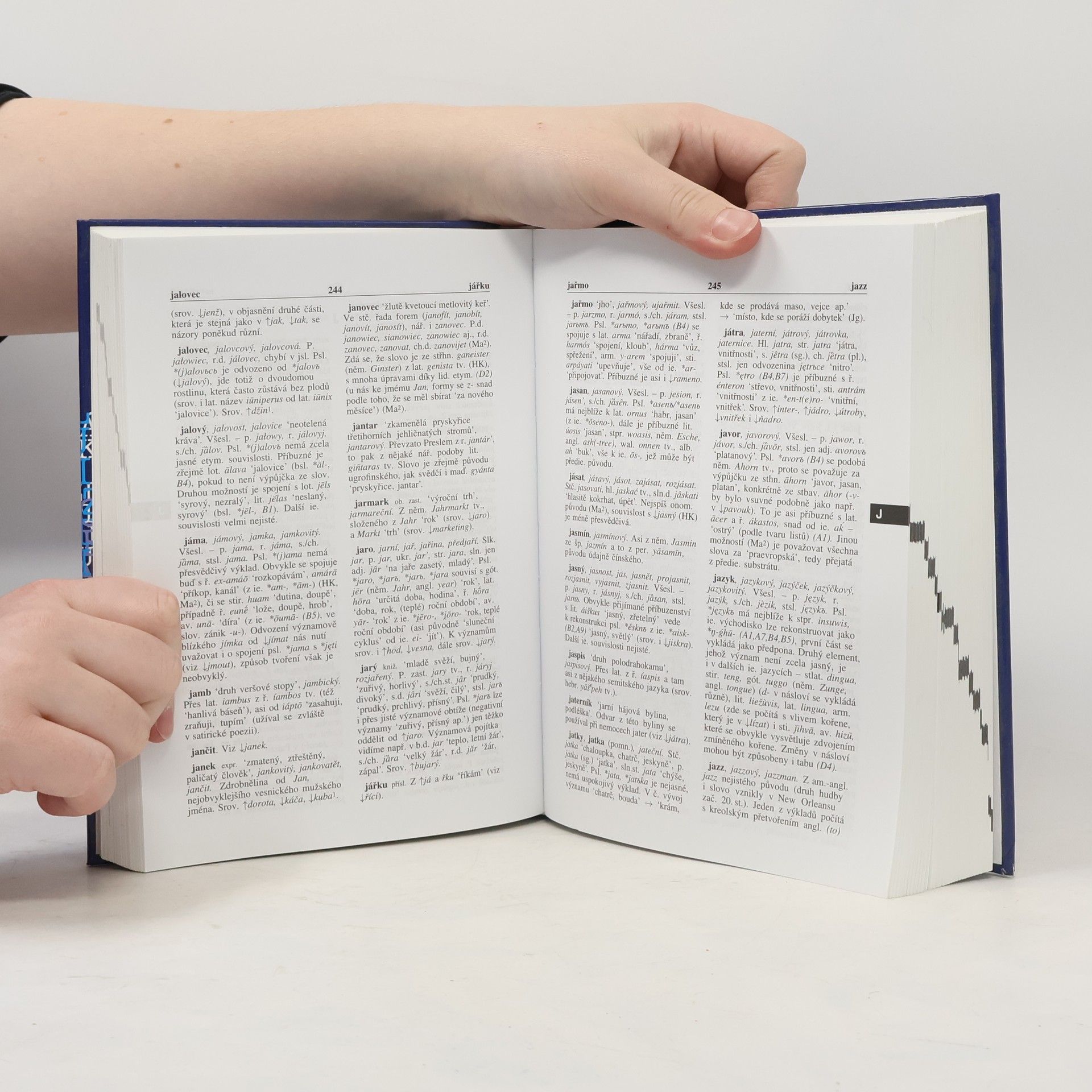 Jiří Rejzek Český etymologický slovník