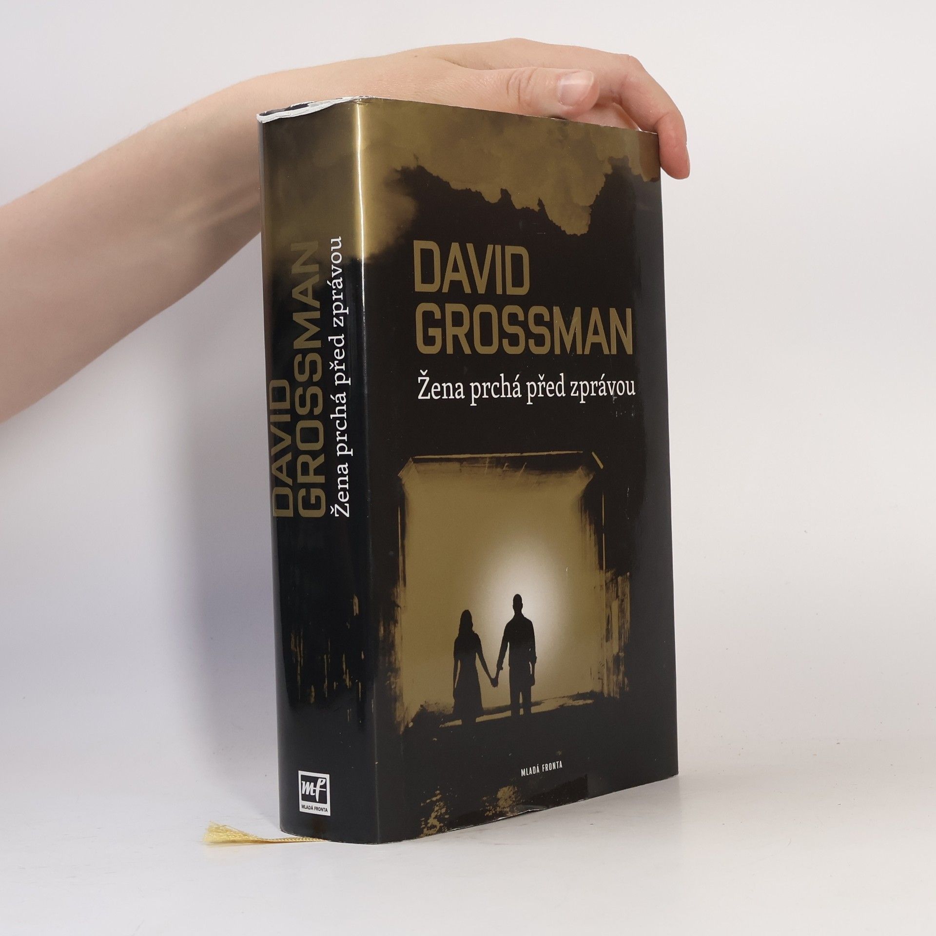 David Grossman Žena prchá před zprávou