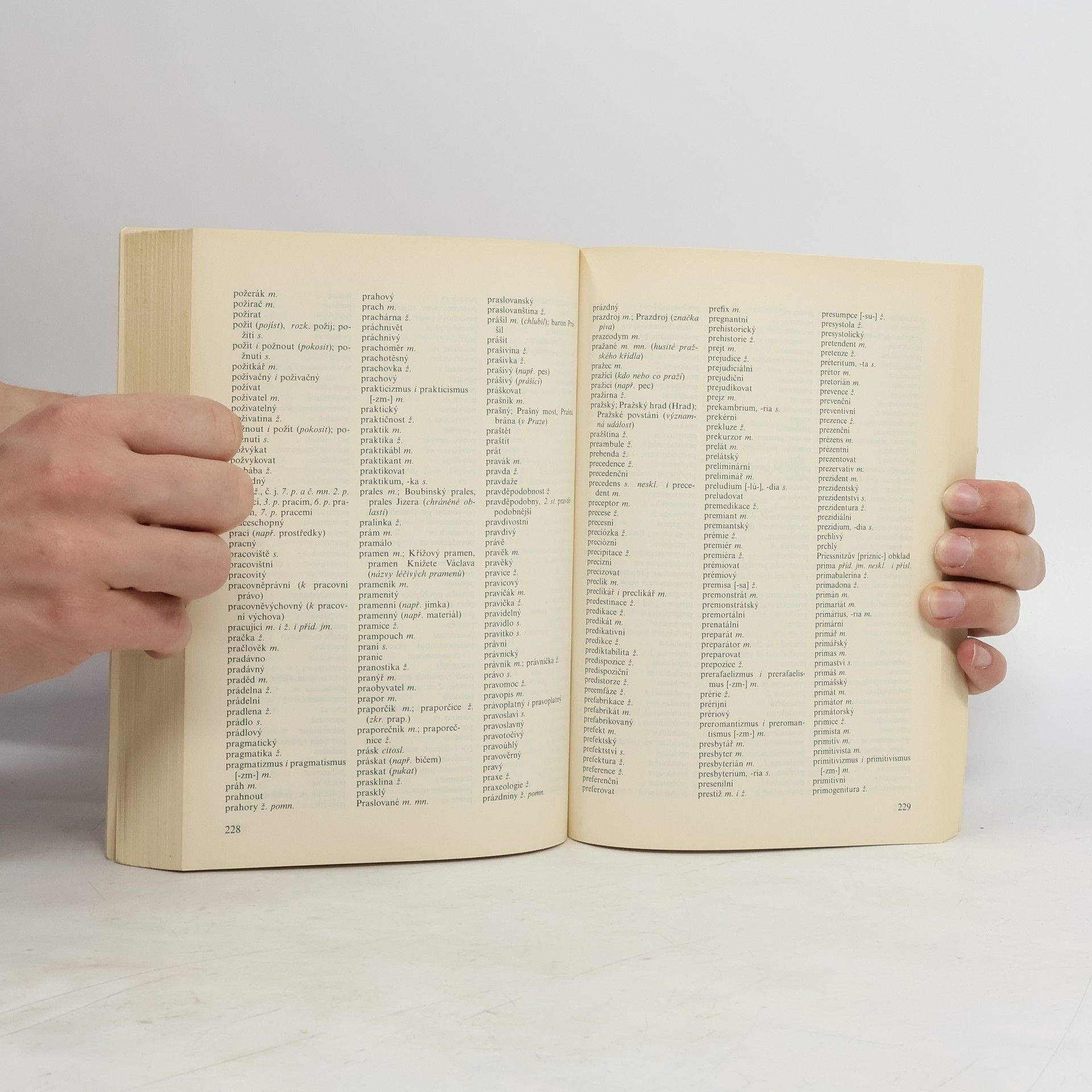 Autorenkollektiv Pravidla českého pravopisu