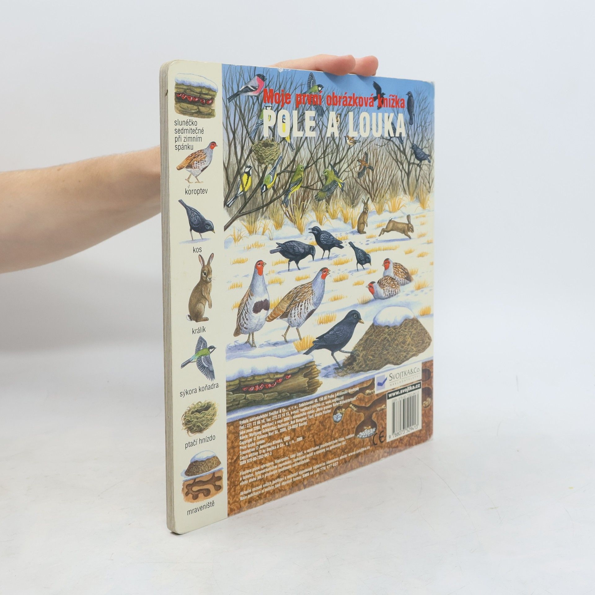 Bob Bampton Pole a louka