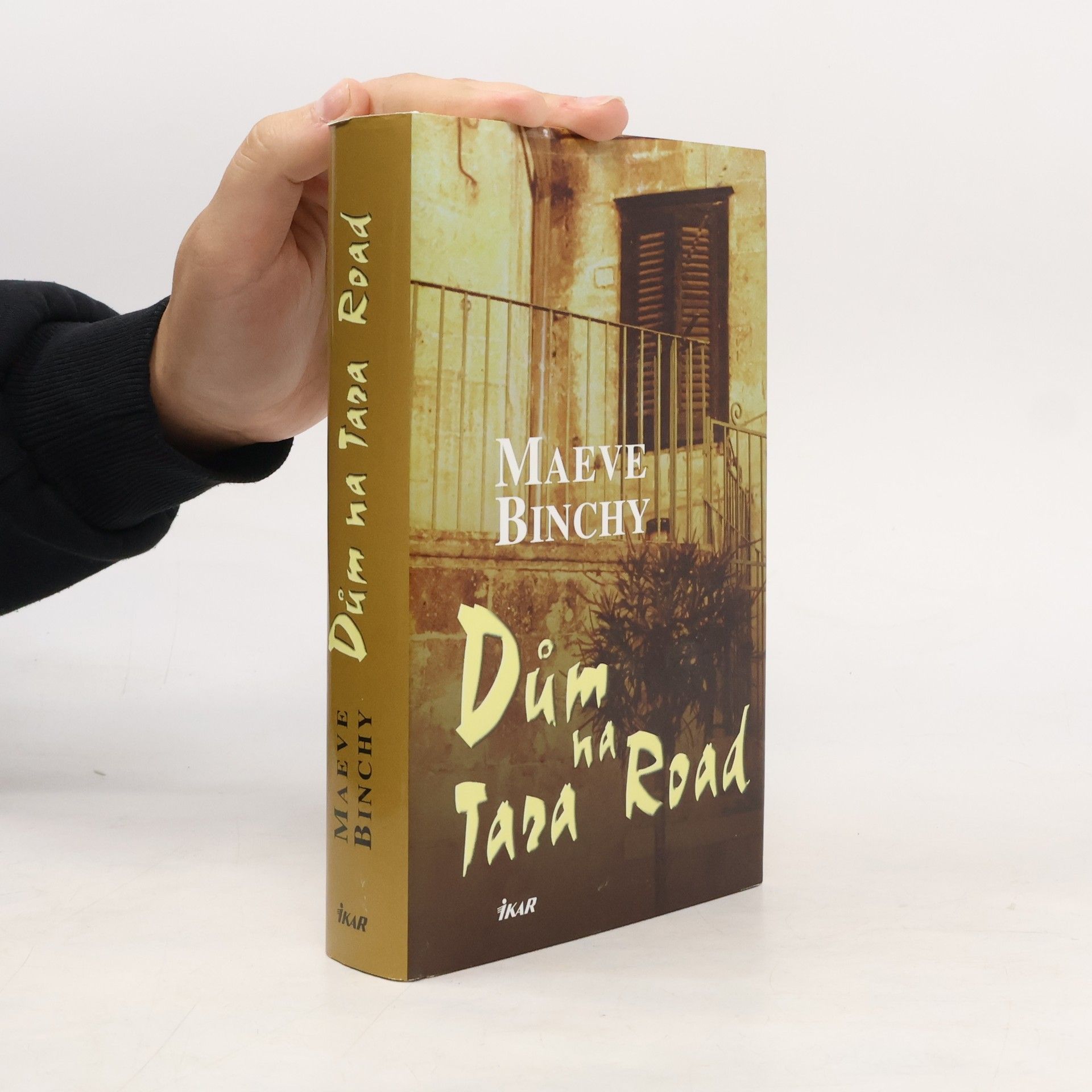 Maeve Binchy Dům na Tara Road