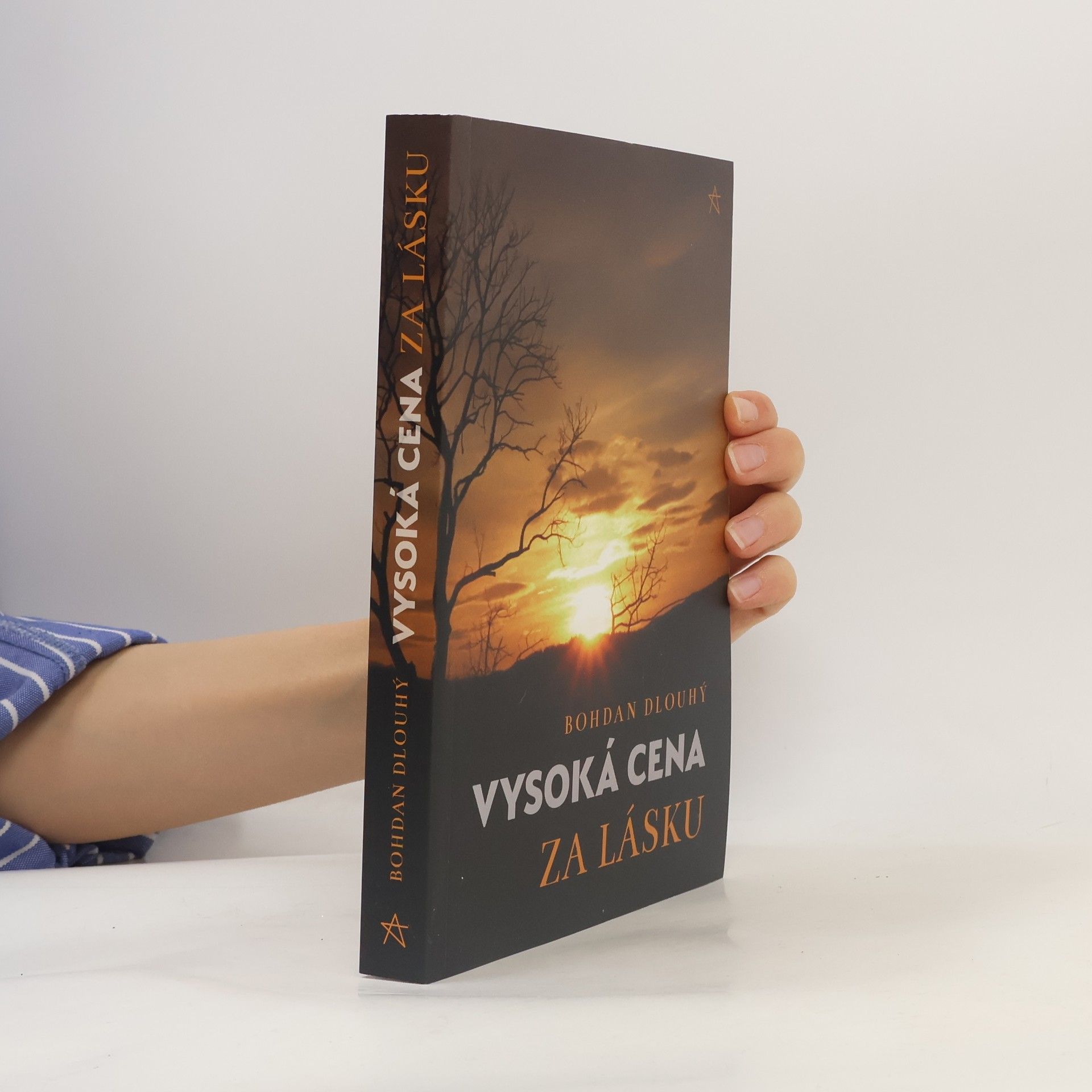 Bohdan Dlouhý Vysoká cena za lásku