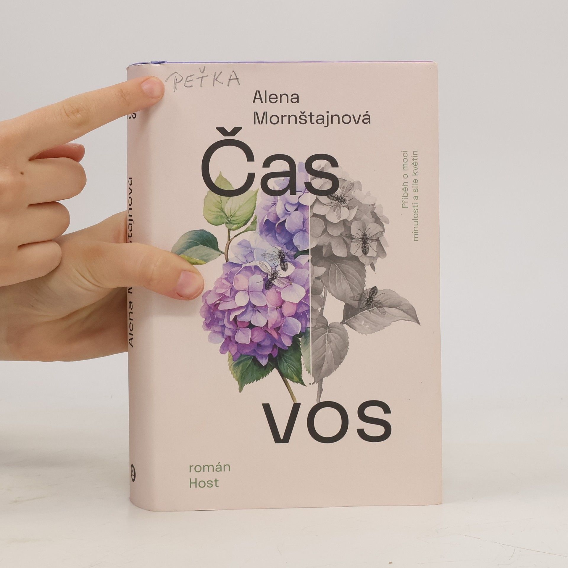 Alena Mornštajnová Čas vos